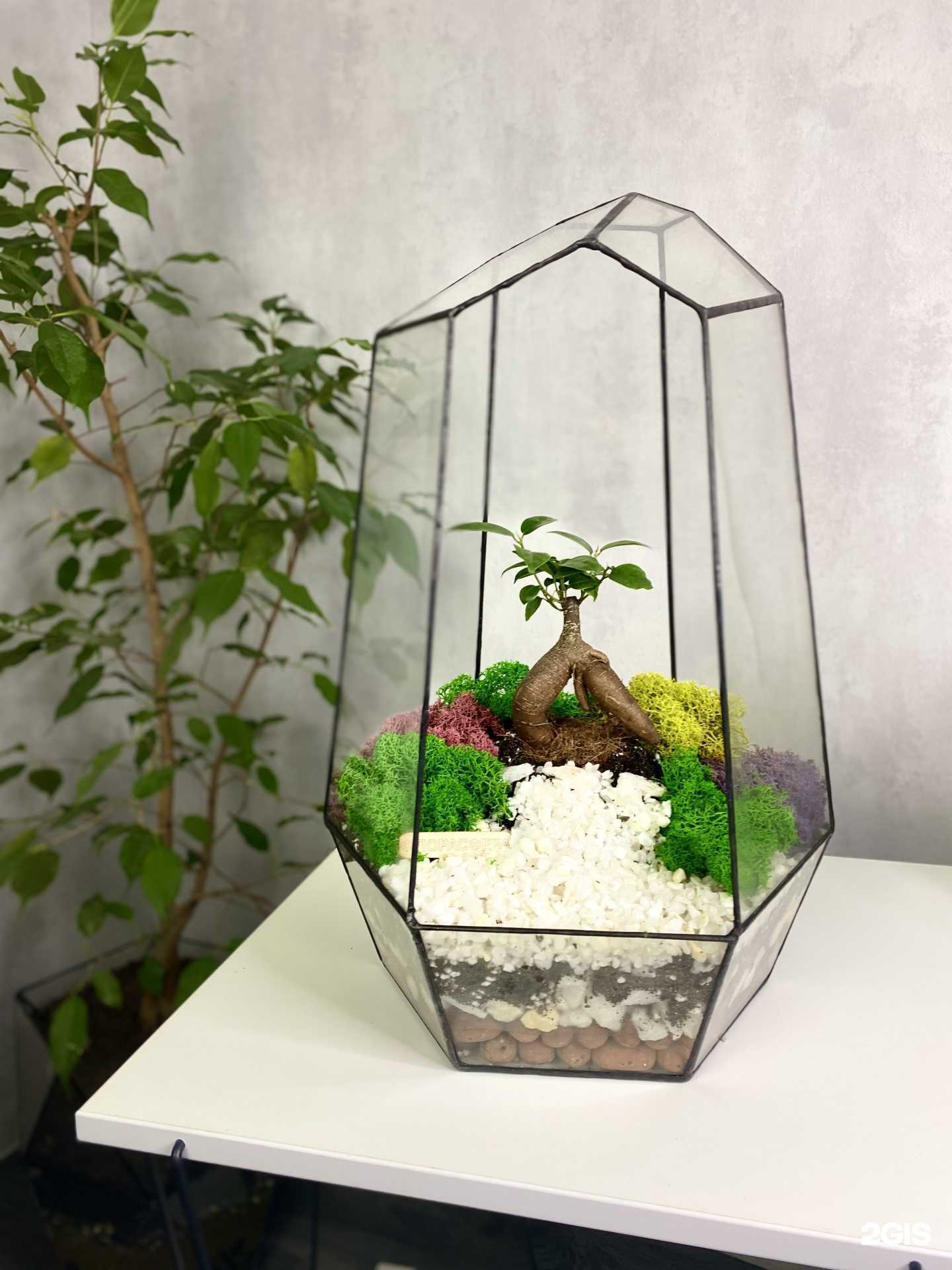 Отзывы на компанию Флорасфера в Краснодаре c фото