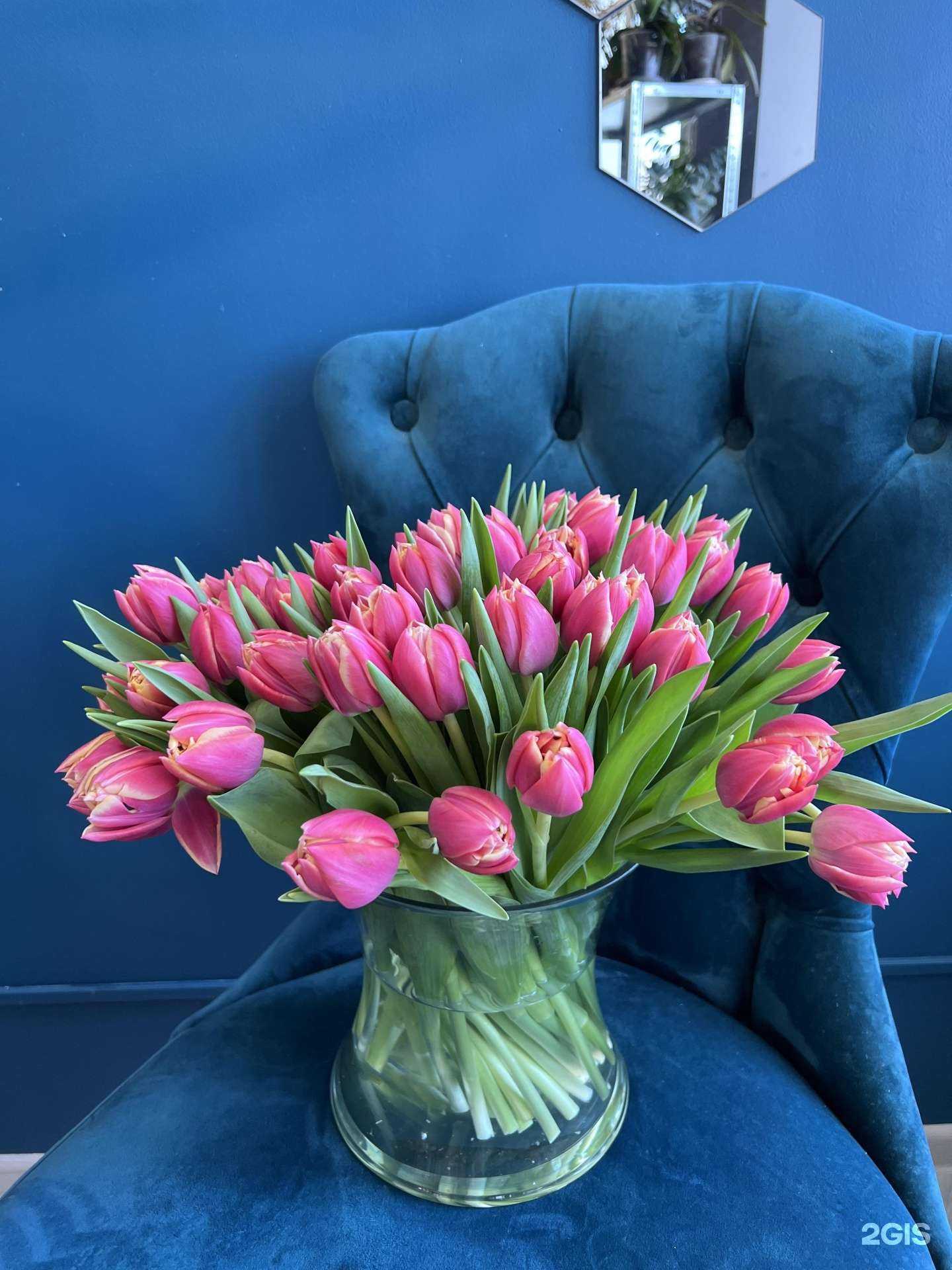 Отзывы на компанию Розы Лакшми в г. Фокино c фото