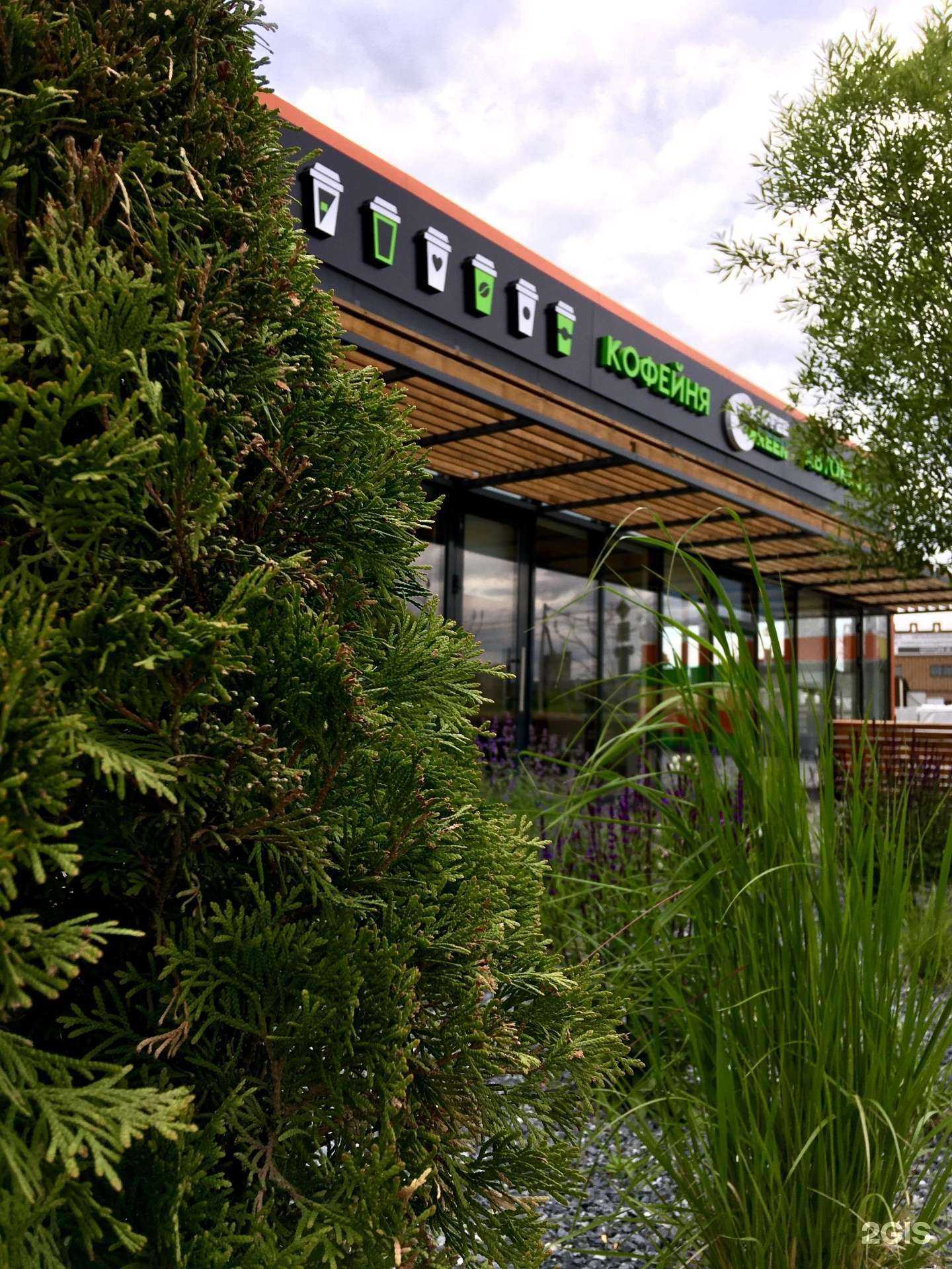 Отзывы на компанию Coffee green в Димитровграде c фото