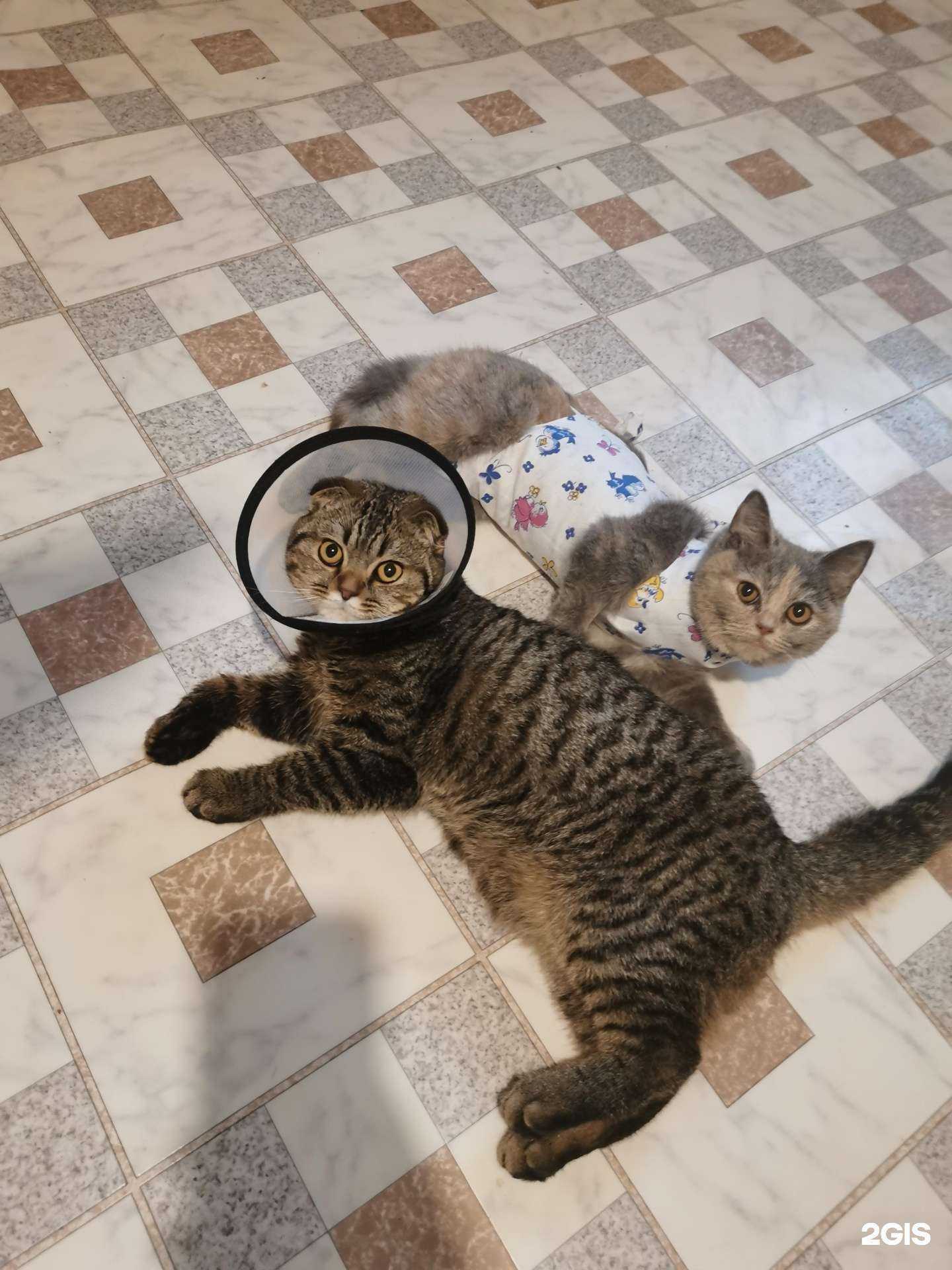 Отзывы на компанию Здоровье в г. Краснодар c фото