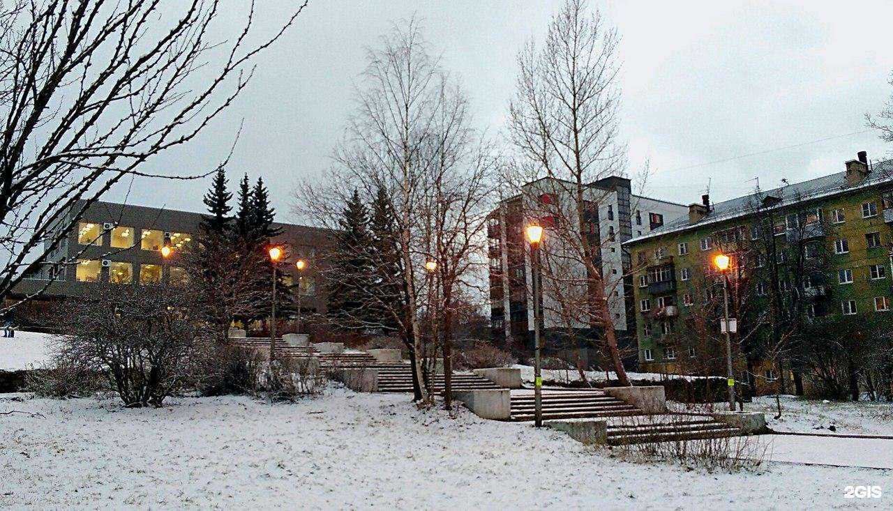 Отзывы на компанию РЕСО-мед в г. Петрозаводск c фото