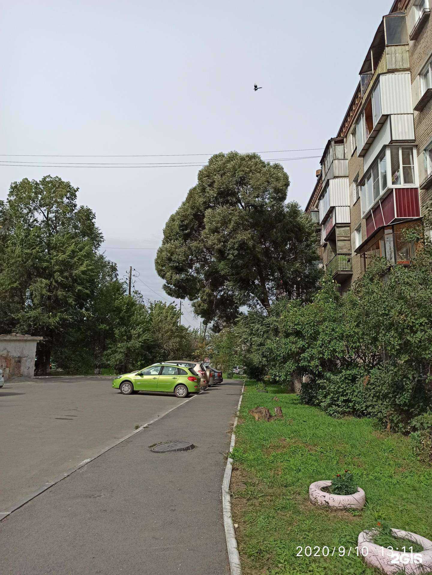 Отзывы на компанию Детская поликлиника №1 в Челябинске c фото - фотография 2 из 2