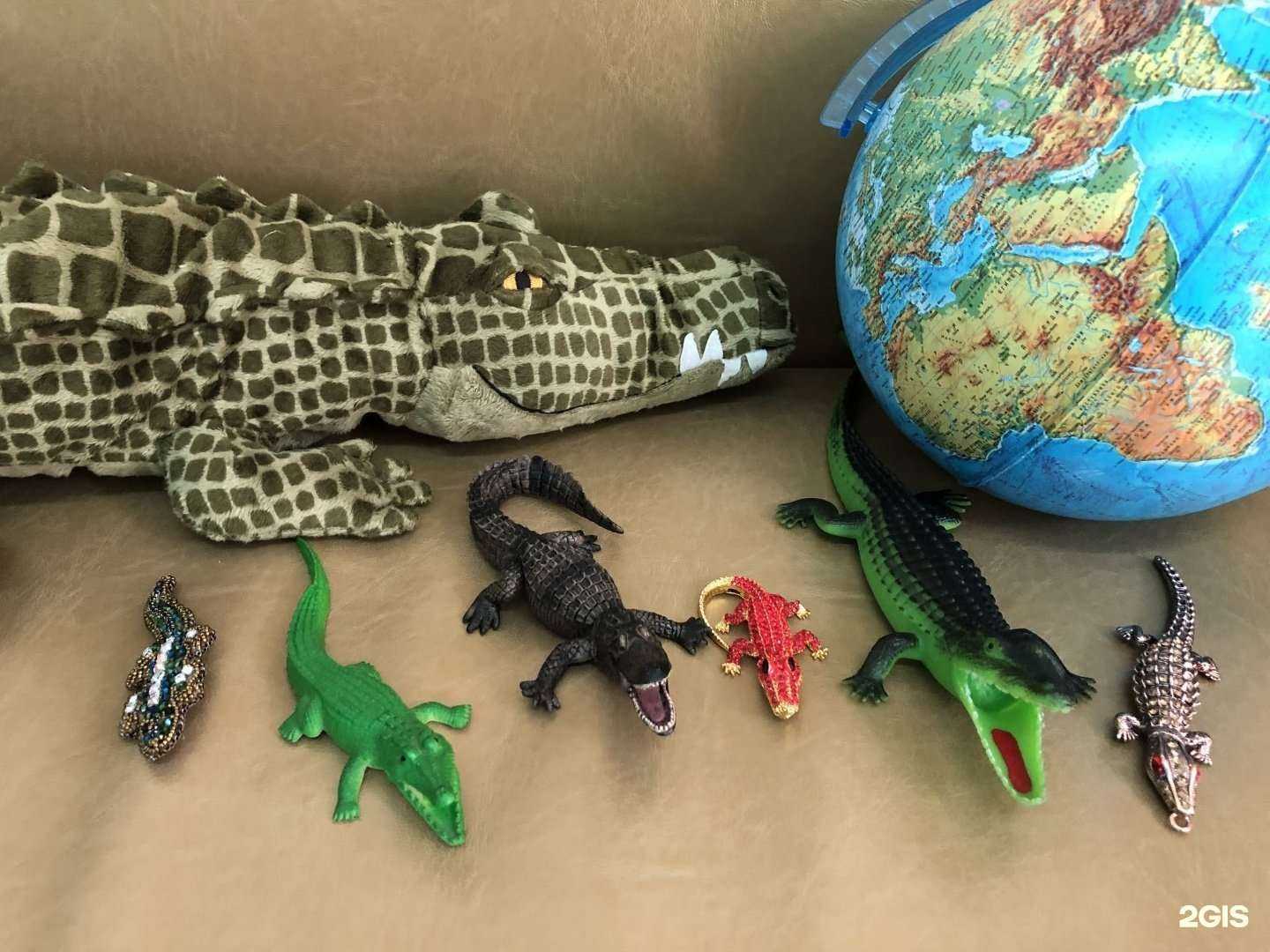 Отзывы на компанию Крокодил в Нижневартовске c фото