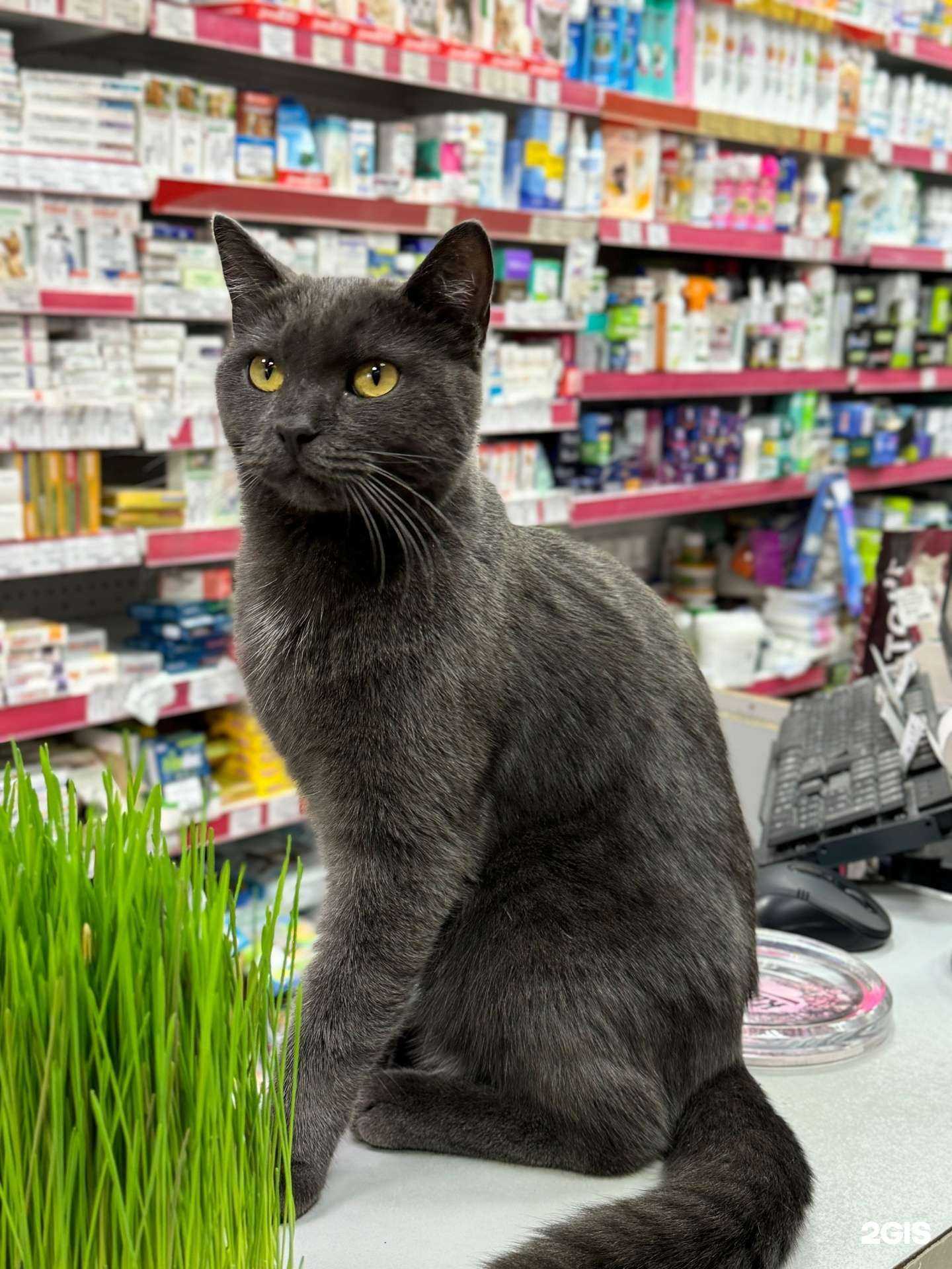 Отзывы на компанию Zoomakc в г. Курган c фото