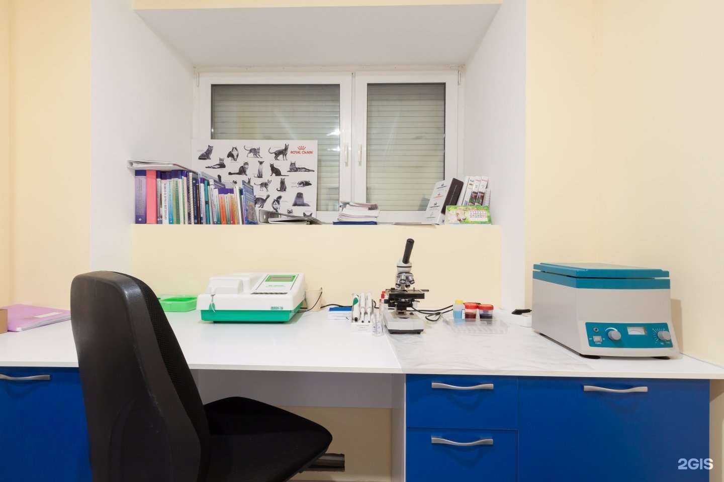 Отзывы на компанию Белый Боксер в Екатеринбурге c фото