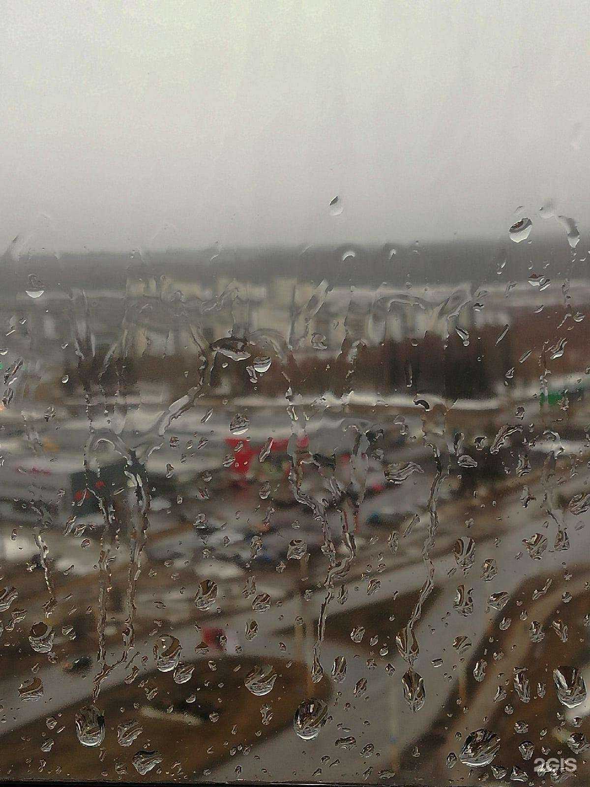 Отзывы на компанию by Maria Osipova в Петрозаводске c фото - фотография 2 из 2