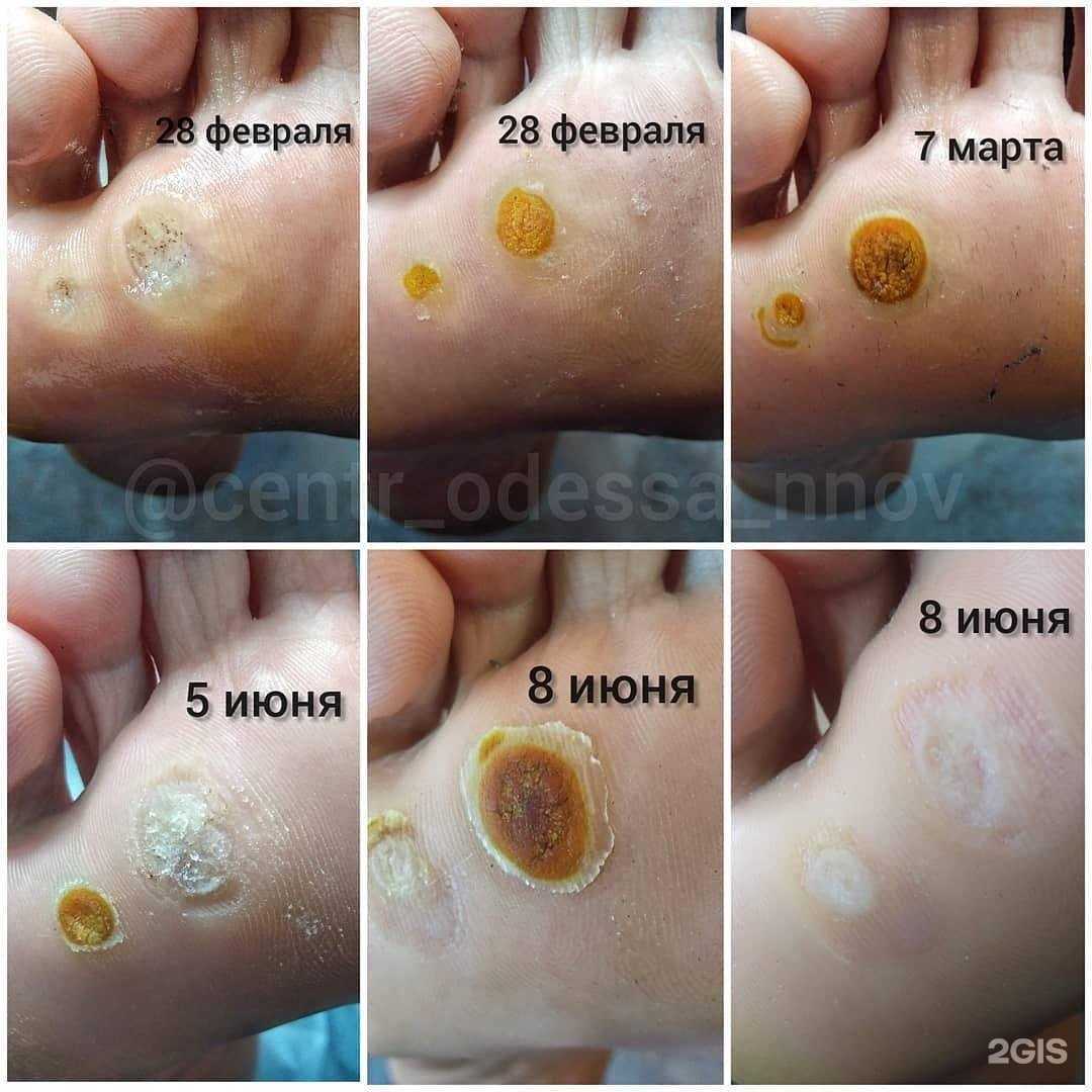 Отзывы на компанию Одесса в Нижнем Новгороде c фото