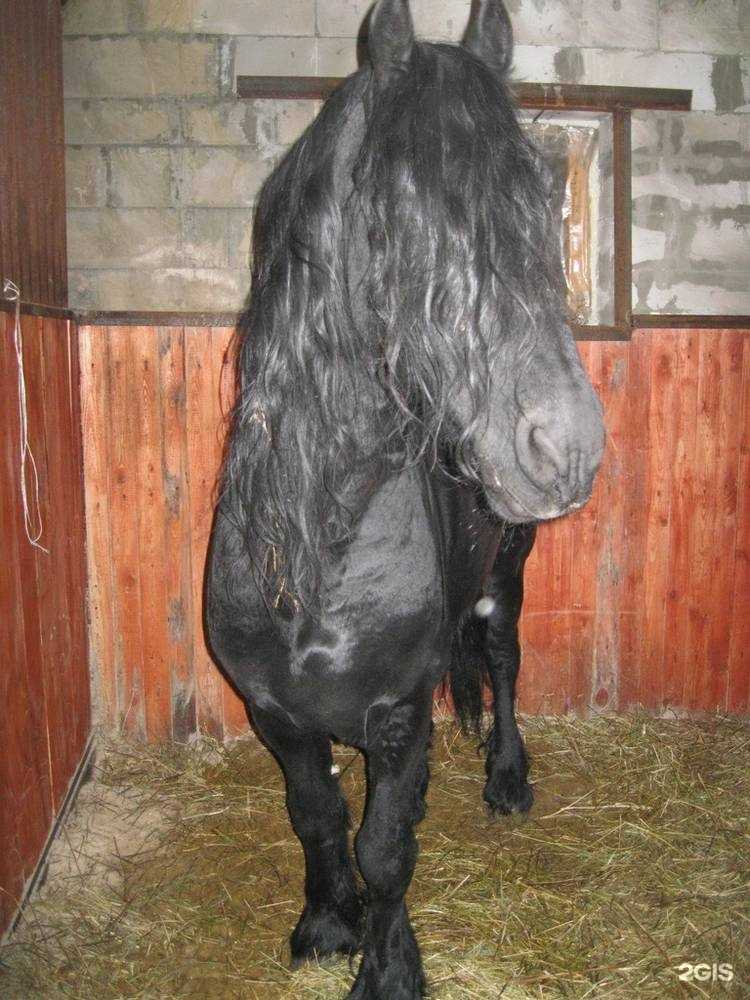 Отзывы на компанию Каприоль в Ижевске c фото