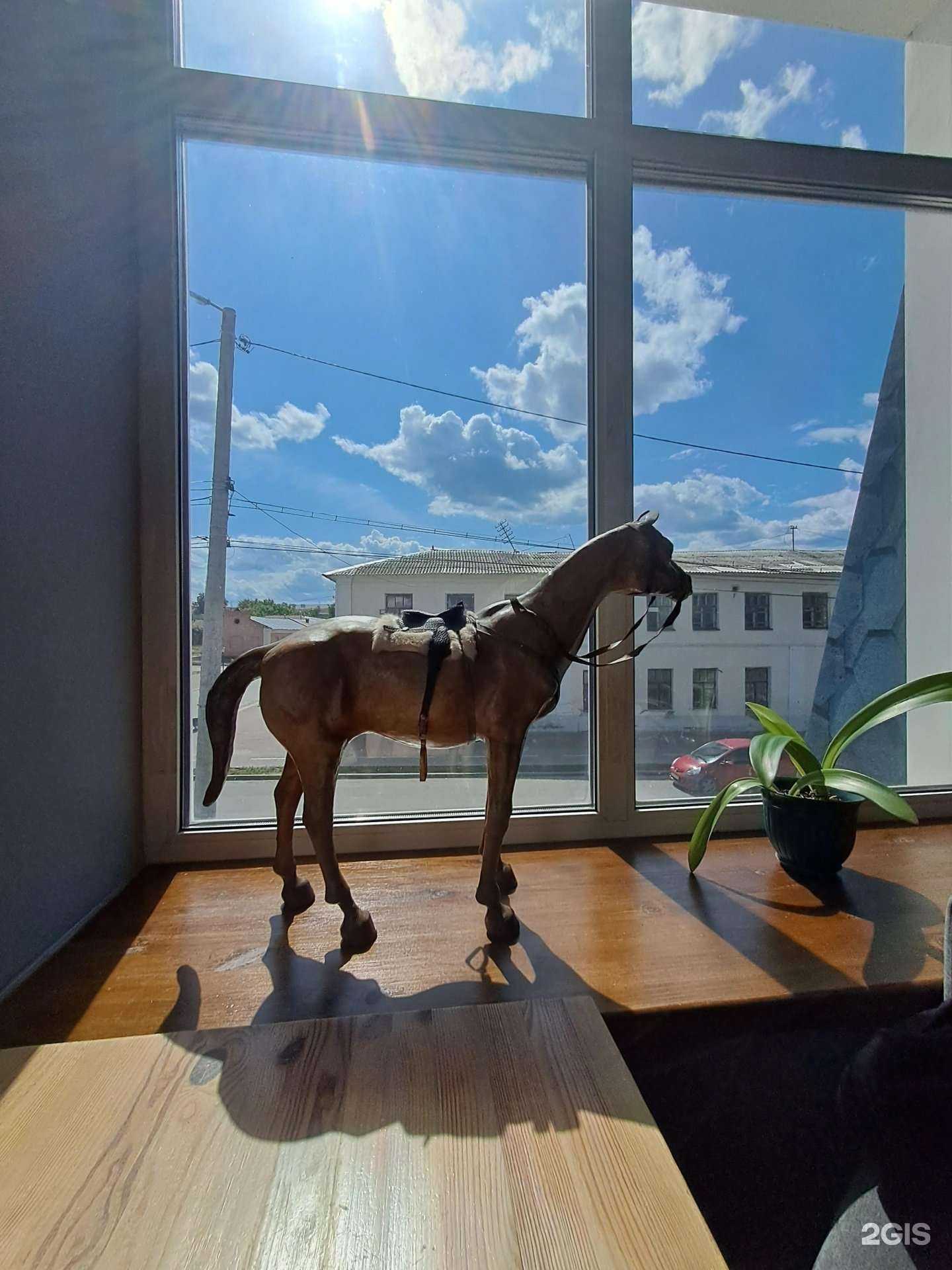 Отзывы на компанию Эль карамело в Муроме c фото