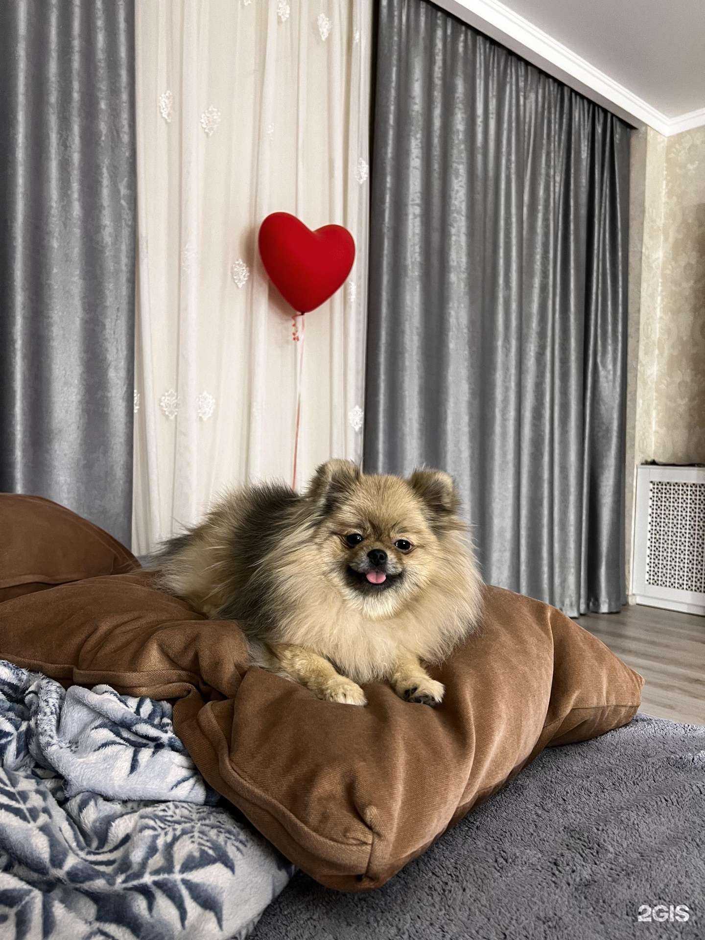 Отзывы на компанию Vetexotic в Омске c фото