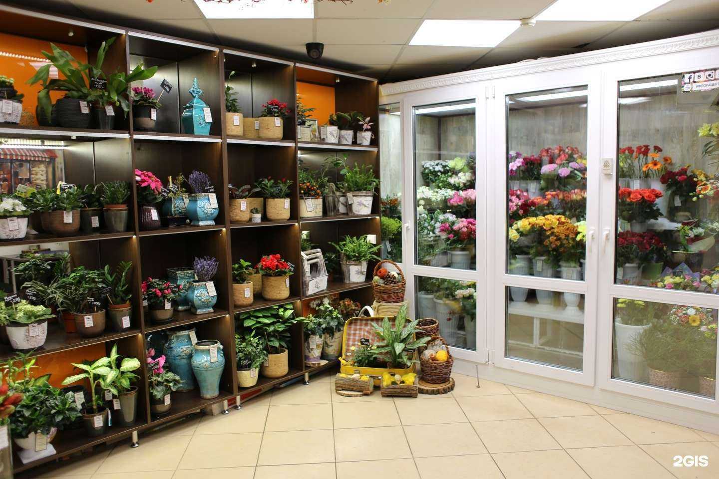 Отзывы на компанию Флора Центр в г. Владимир c фото