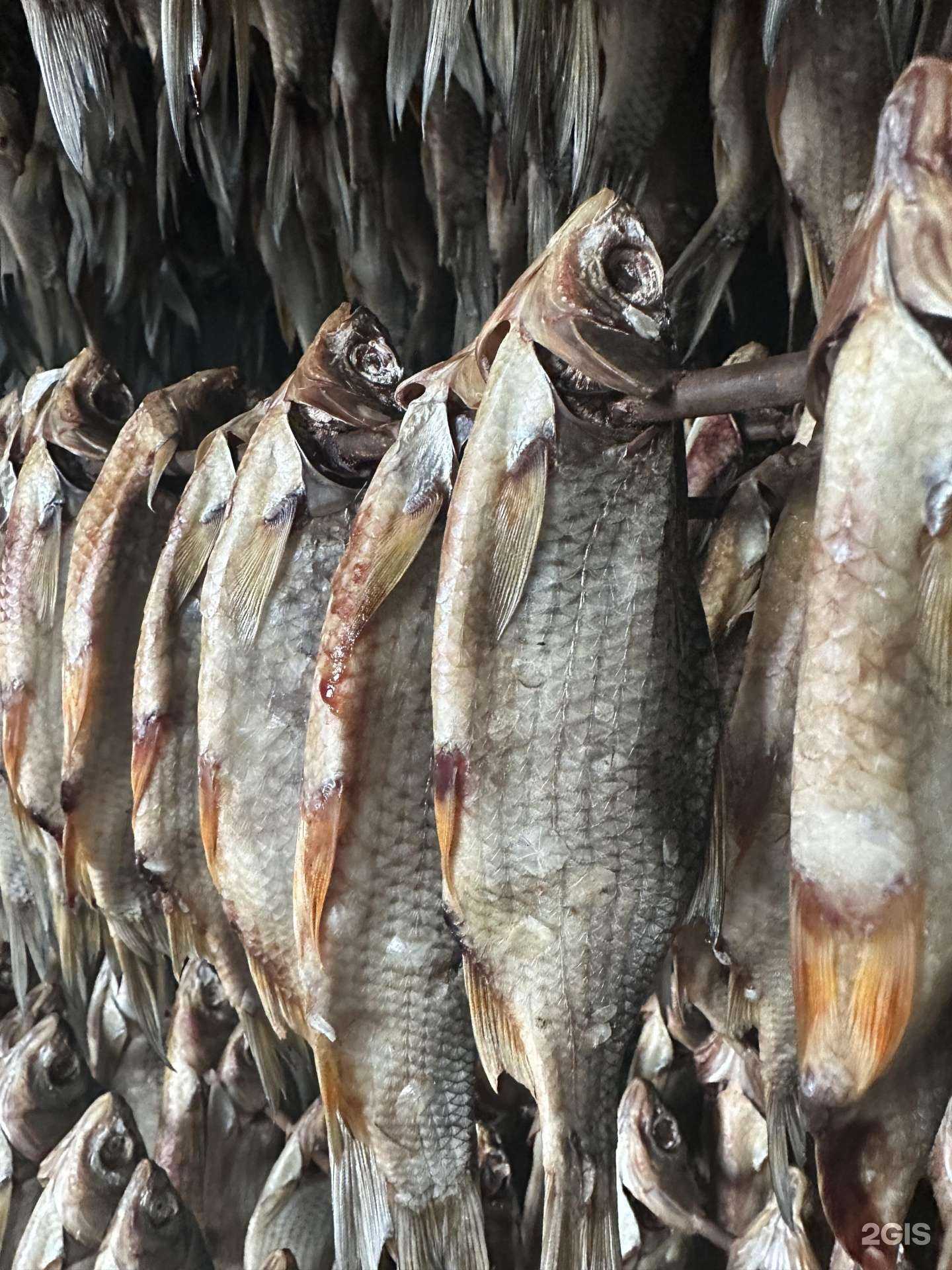 Отзывы на компанию Серебряная рыбка в г. Иркутск c фото