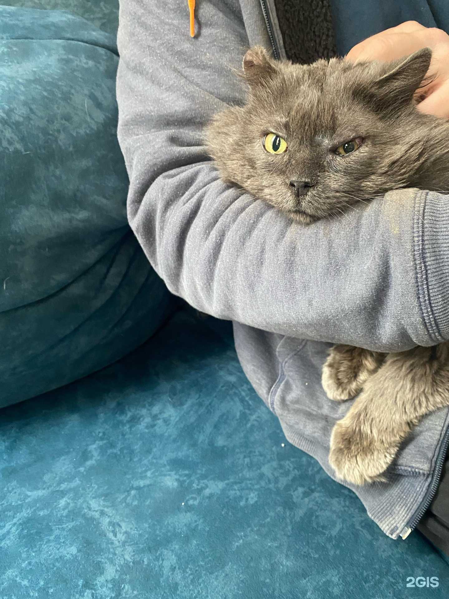 Отзывы на компанию Вет+ в Туле c фото