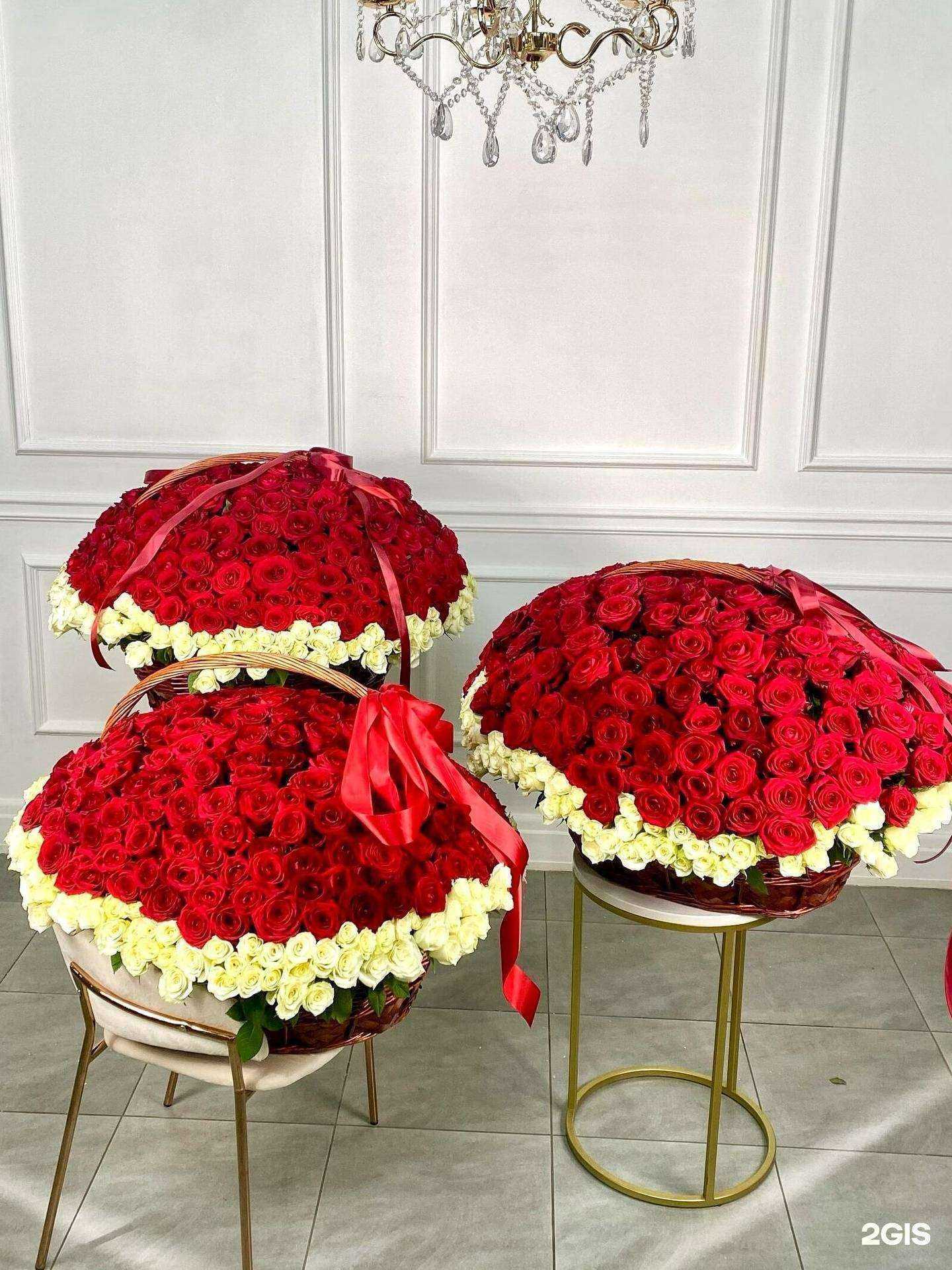 Отзывы на компанию Floris в Красноярске c фото