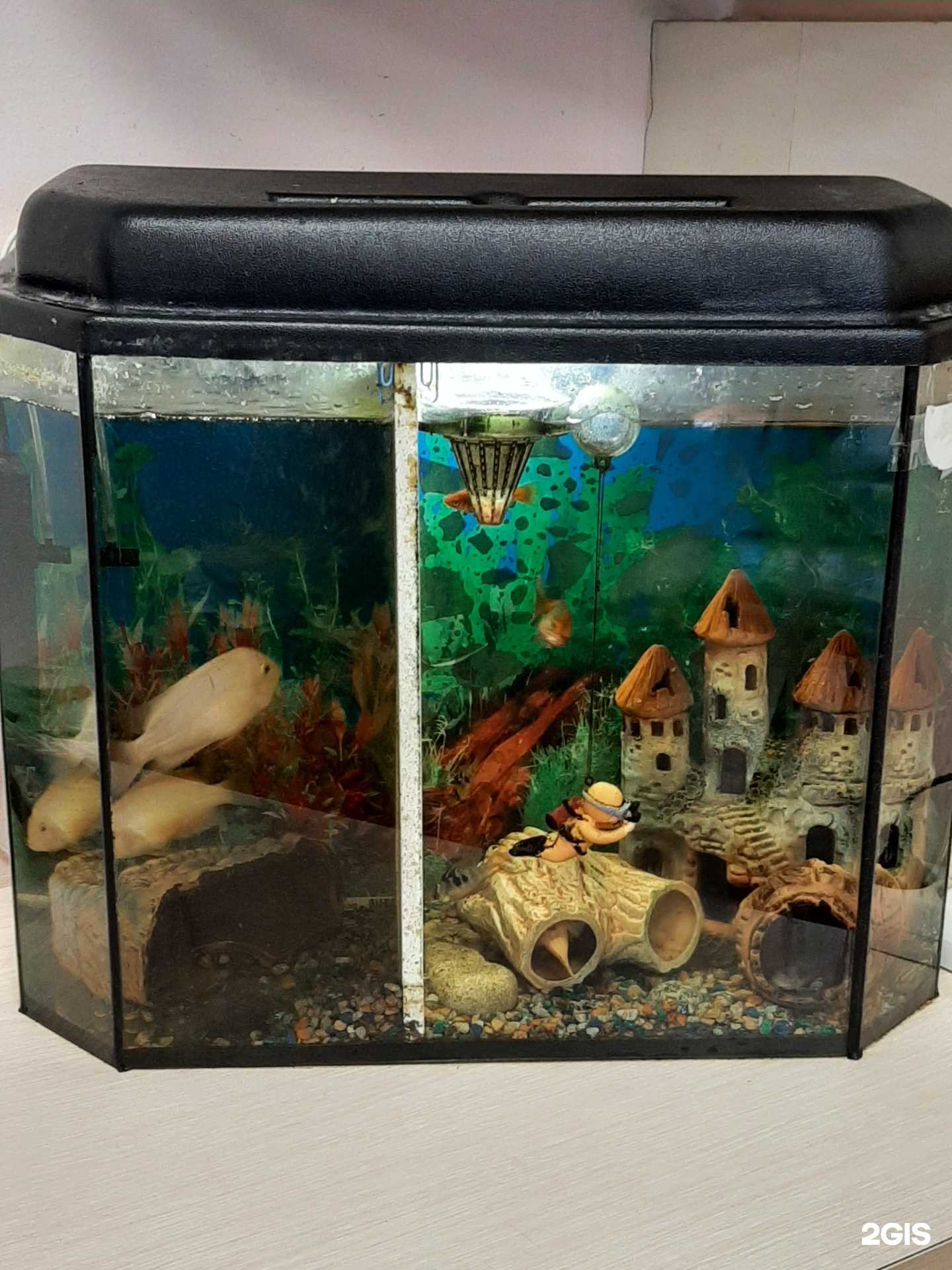 Отзывы на компанию Акватория в Тольятти c фото