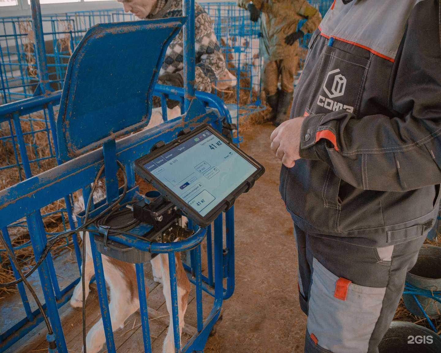 Отзывы на компанию Кеплер в Барнауле c фото