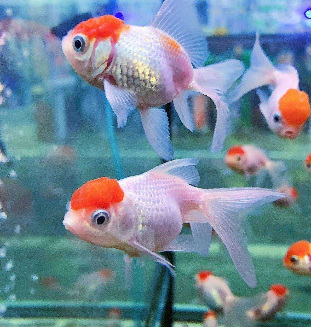 Отзывы на компанию Тоша в г. Оренбург c фото