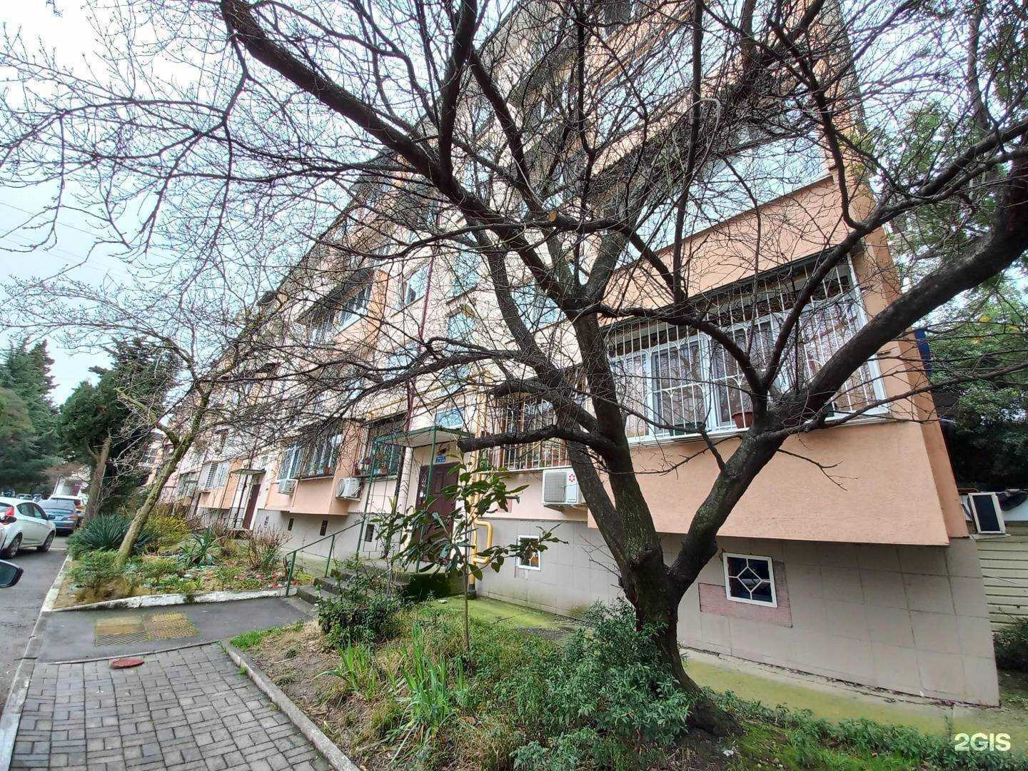 Отзывы на компанию АквариумСочи в Сочи c фото - фотография 2 из 2