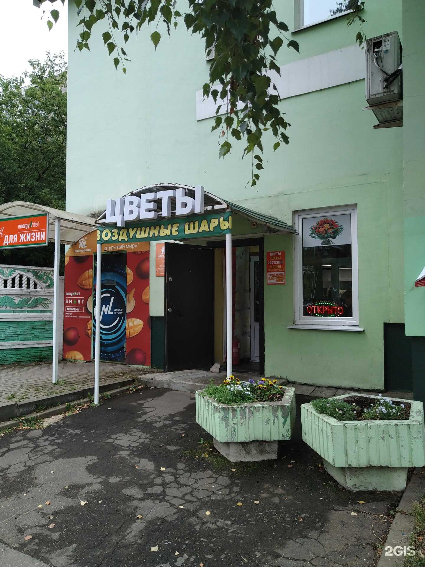 Отзывы на компанию Оптово-розничный магазин цветов в Пушкине c фото