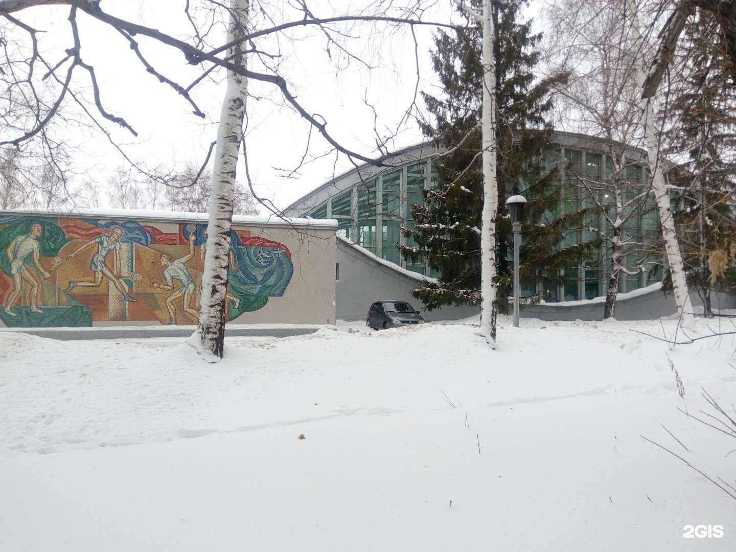 Отзывы на компанию СШОР №1 в г. Самара c фото