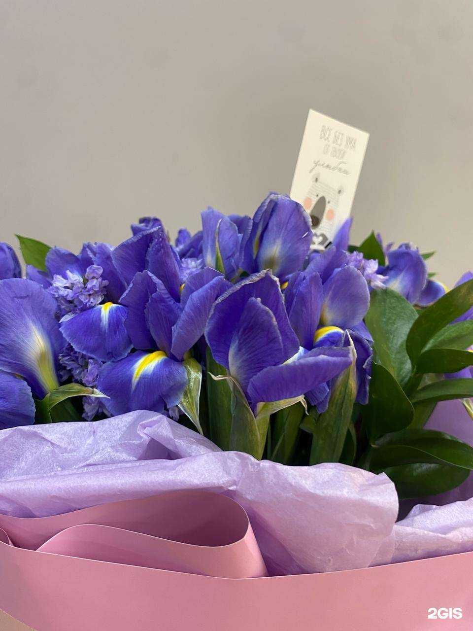 Отзывы на компанию Фрейя в г. Бийск c фото