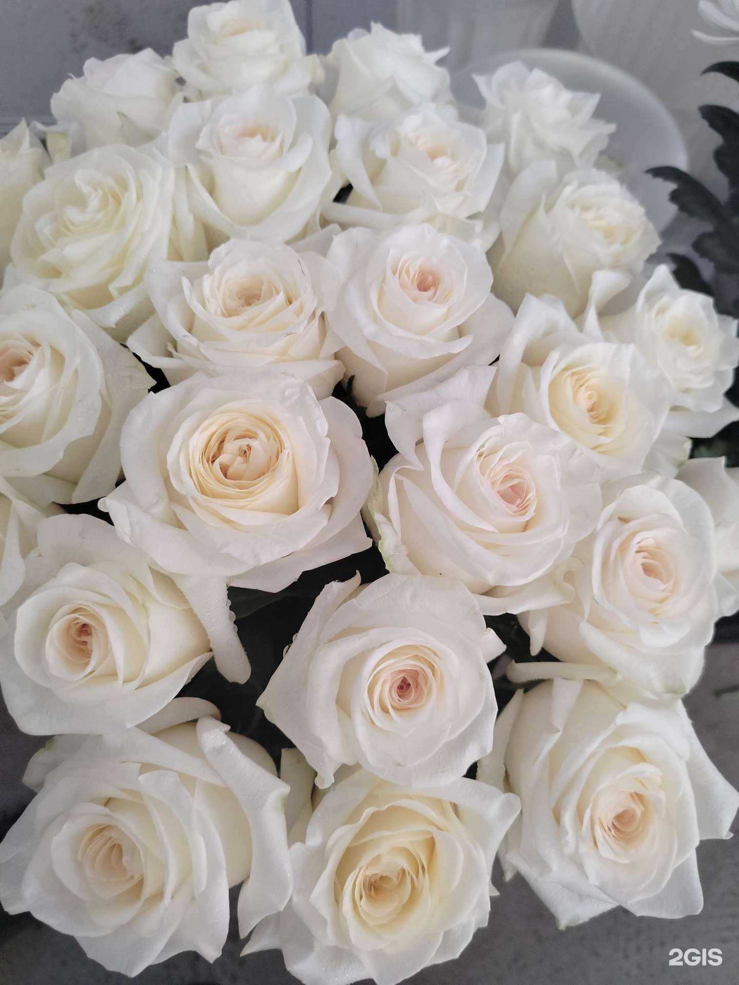 Отзывы на компанию Магазин цветов в Саратове c фото