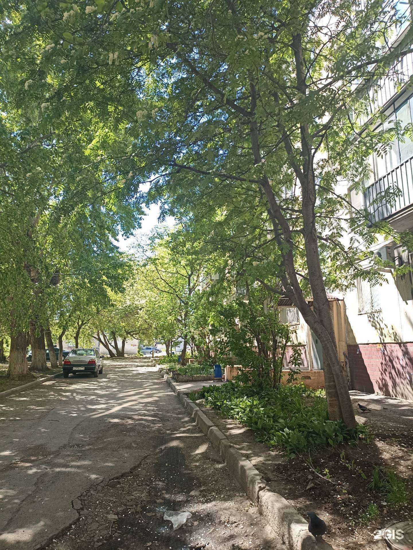 Отзывы на компанию Gordan в Челябинске c фото - фотография 2 из 2