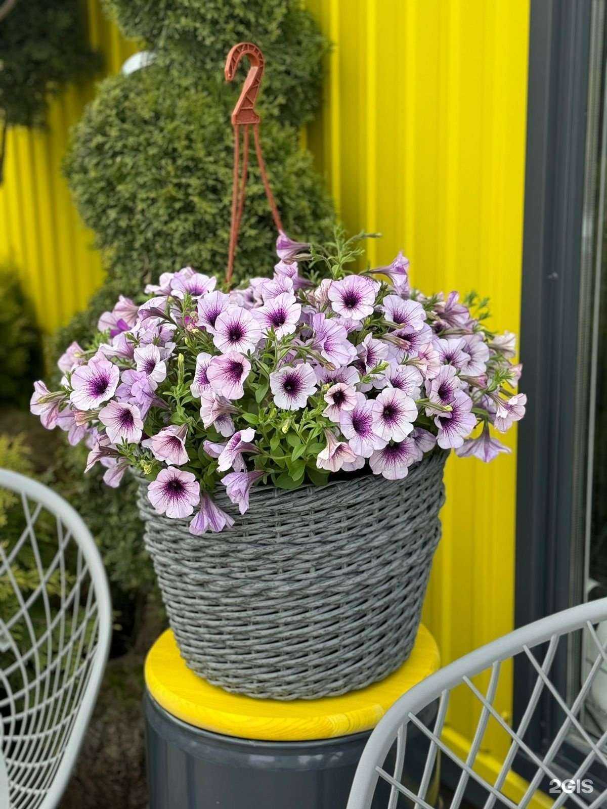 Отзывы на компанию Зеленика в Набережных Челнах c фото