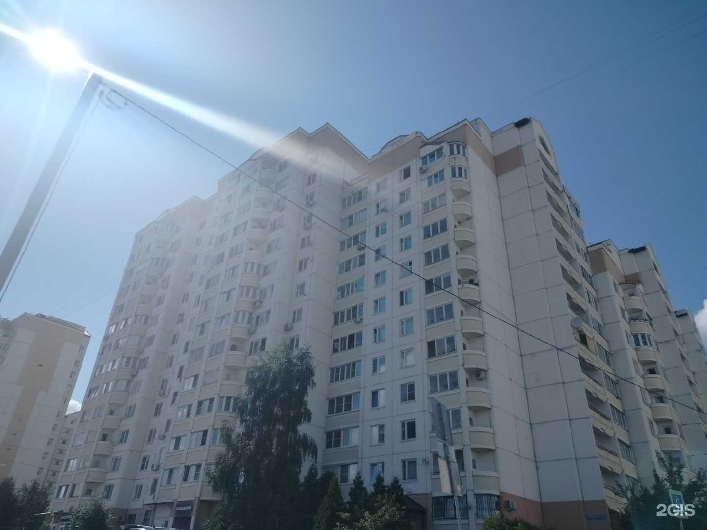 Отзывы на компанию Интегровет в Солнечногорске c фото - фотография 2 из 2