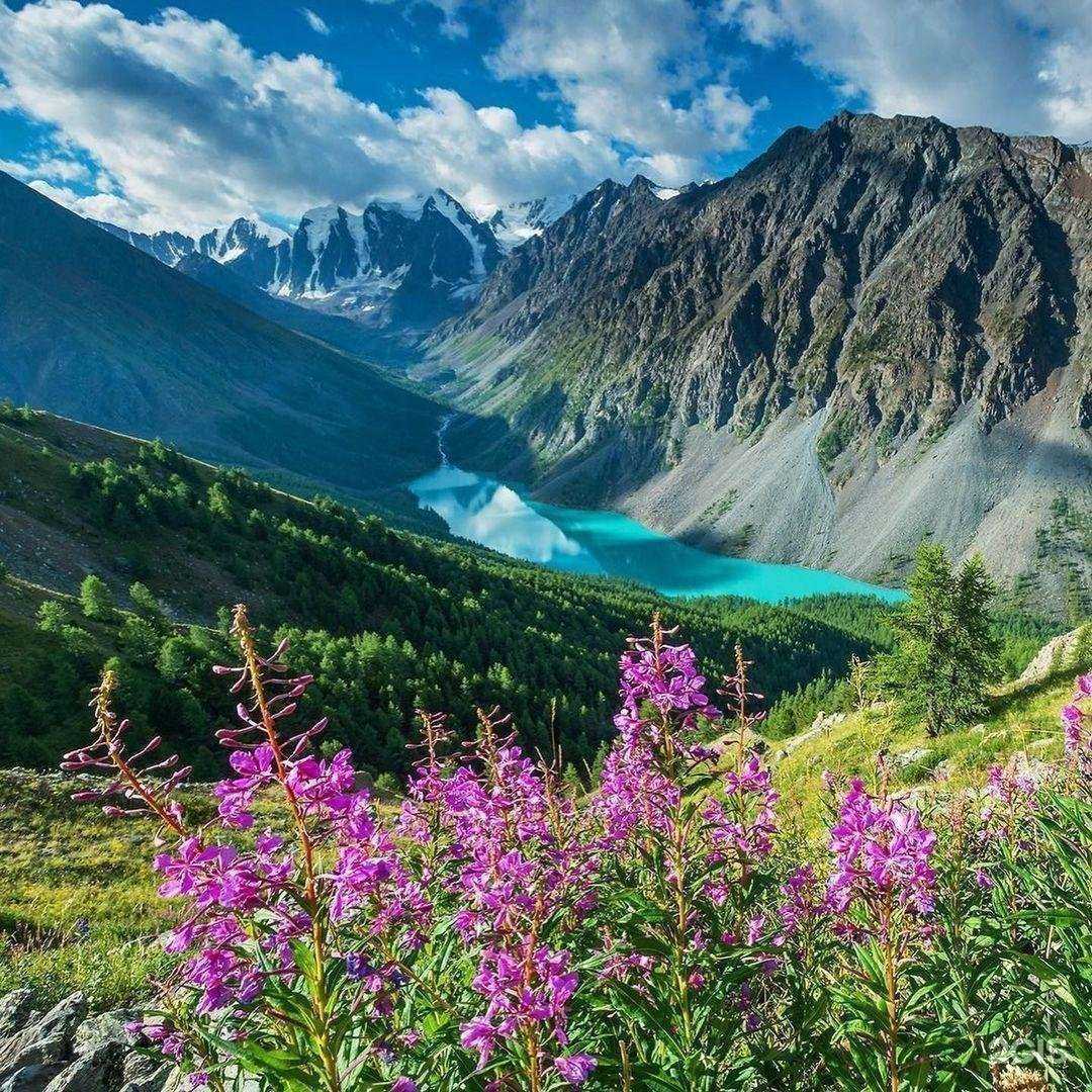 Отзывы на компанию ВладДискавериТур в г. Владивосток c фото