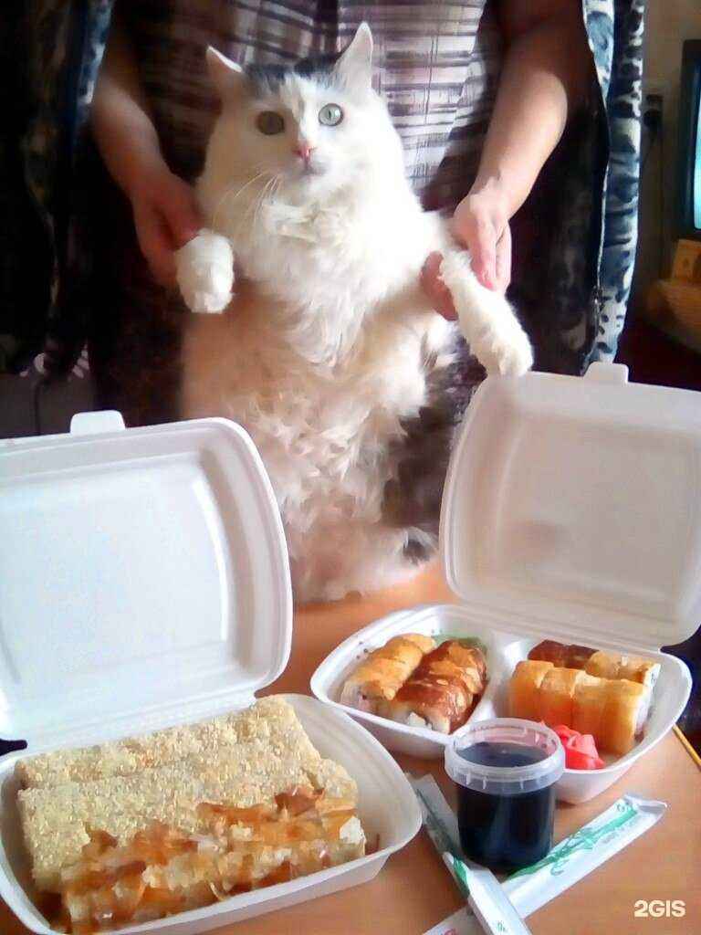 Отзывы на компанию Bento Суши в Перми c фото