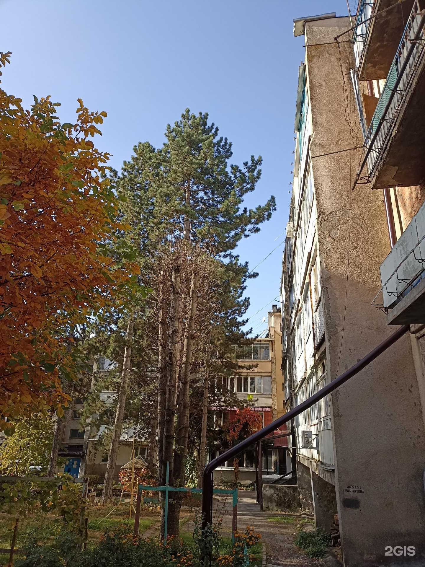 Отзывы на компанию Студия эпиляции в Пятигорске c фото