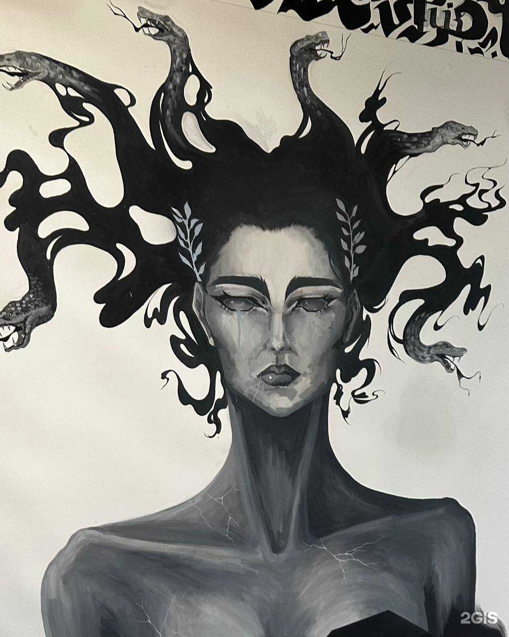 Отзывы на компанию Медуза в Хабаровске c фото