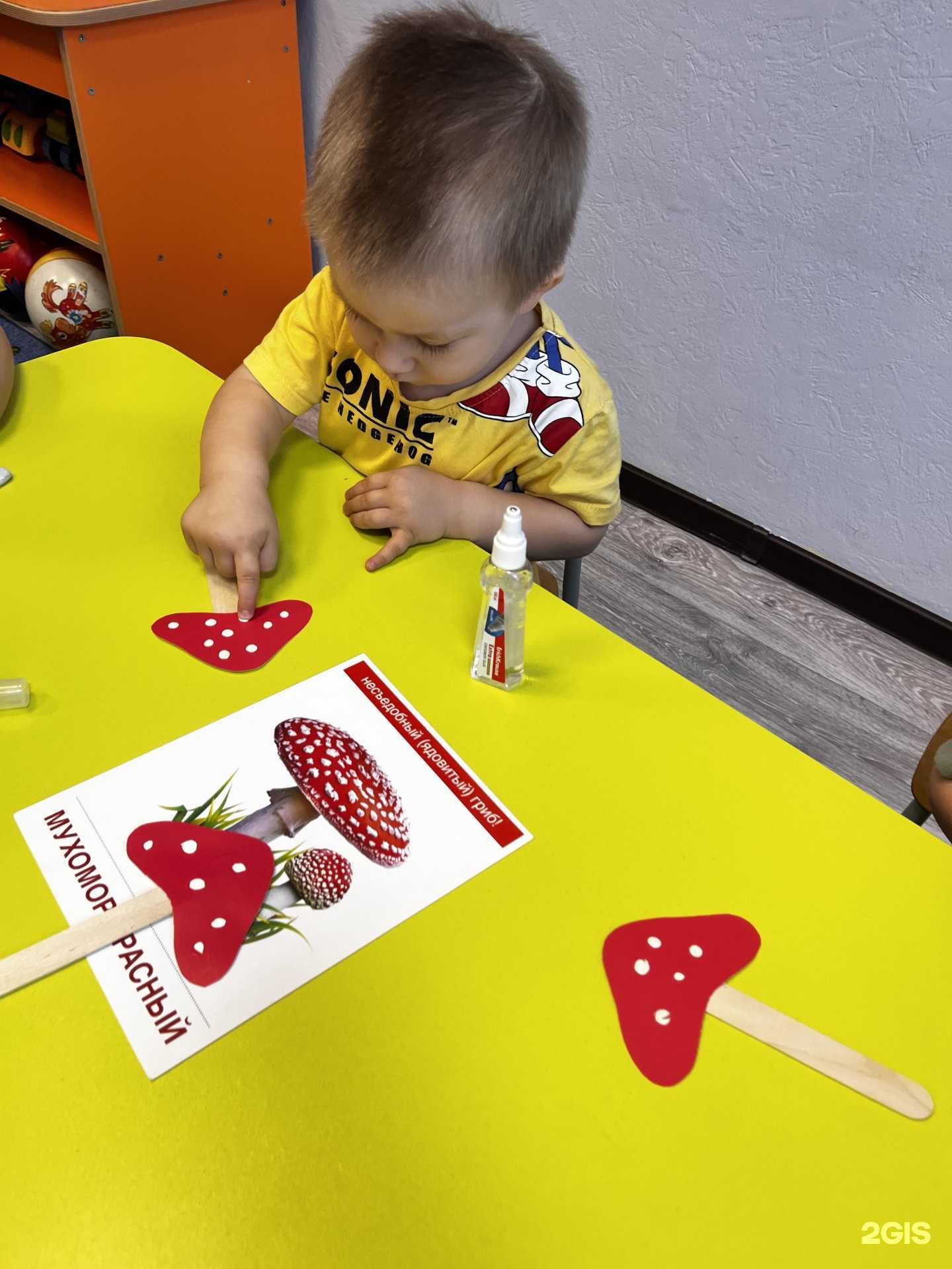 Отзывы на компанию Знаток в Оренбурге c фото