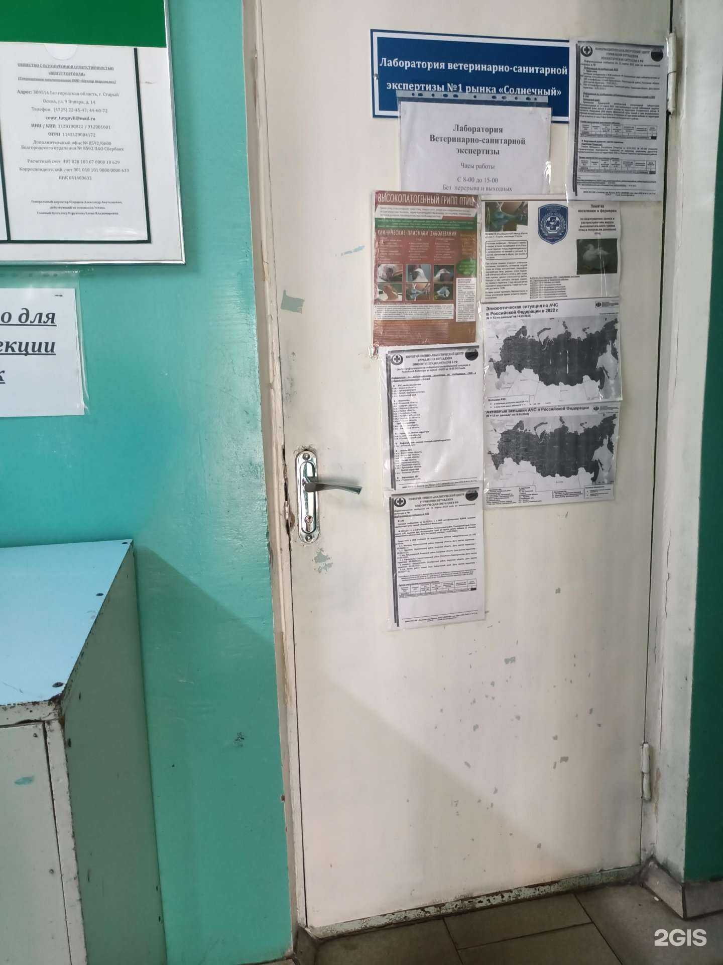 Отзывы на компанию Лаборатория ветеринарно-санитарной экспертизы №1 в Старом Осколе c фото