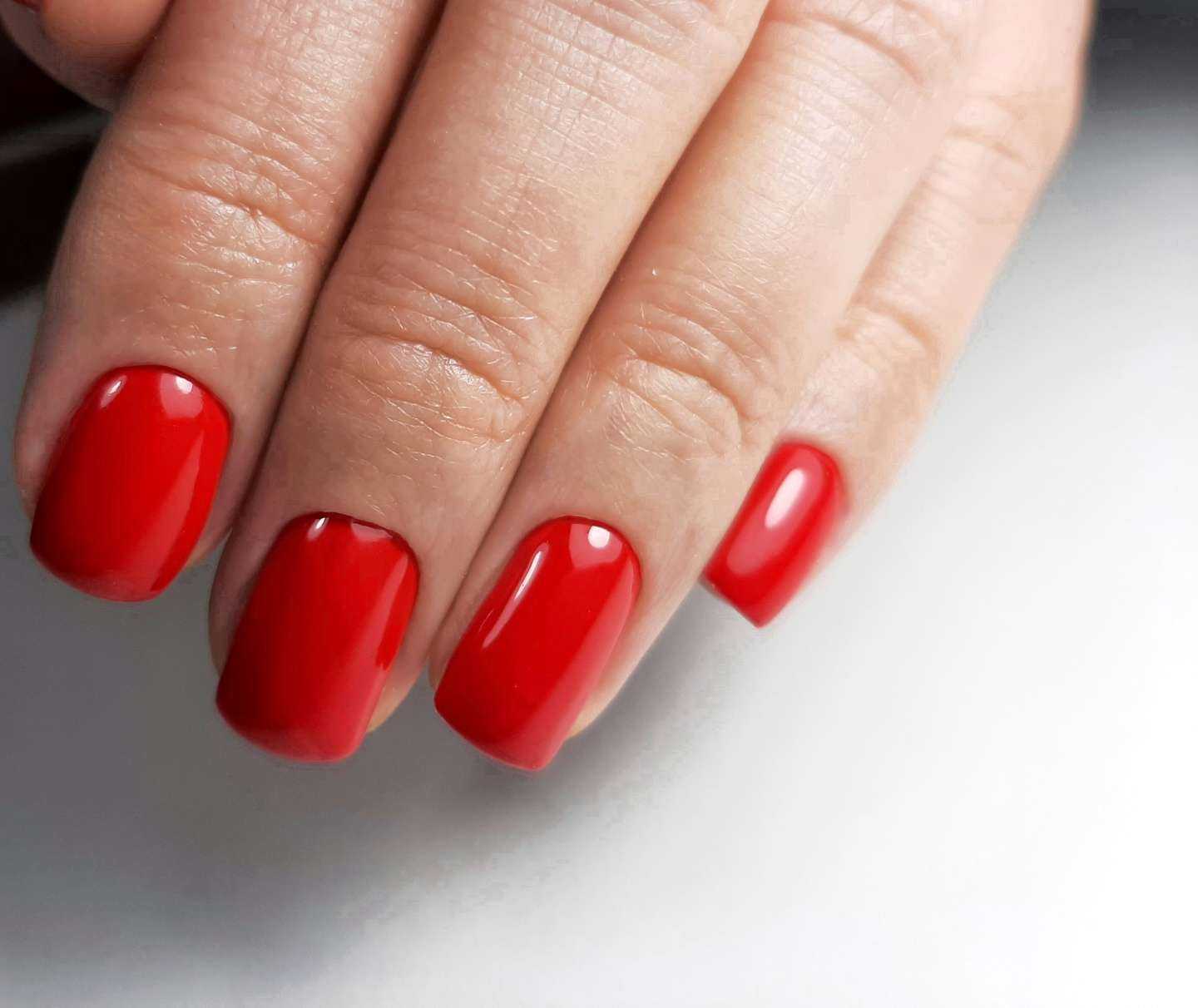 Отзывы на компанию Estetica в Калининграде c фото