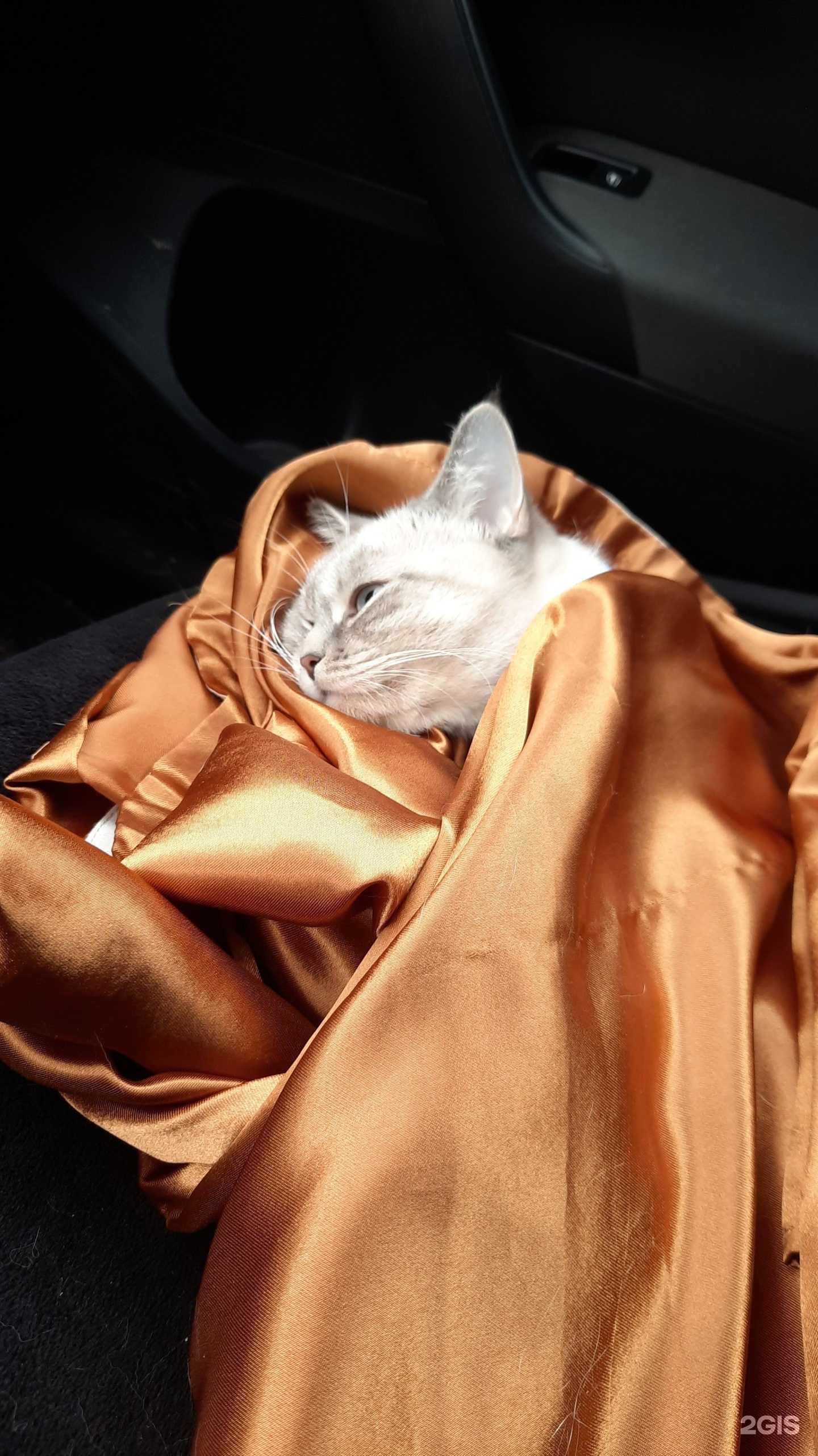 Отзывы на компанию Ветеринарная клиника в Омске c фото