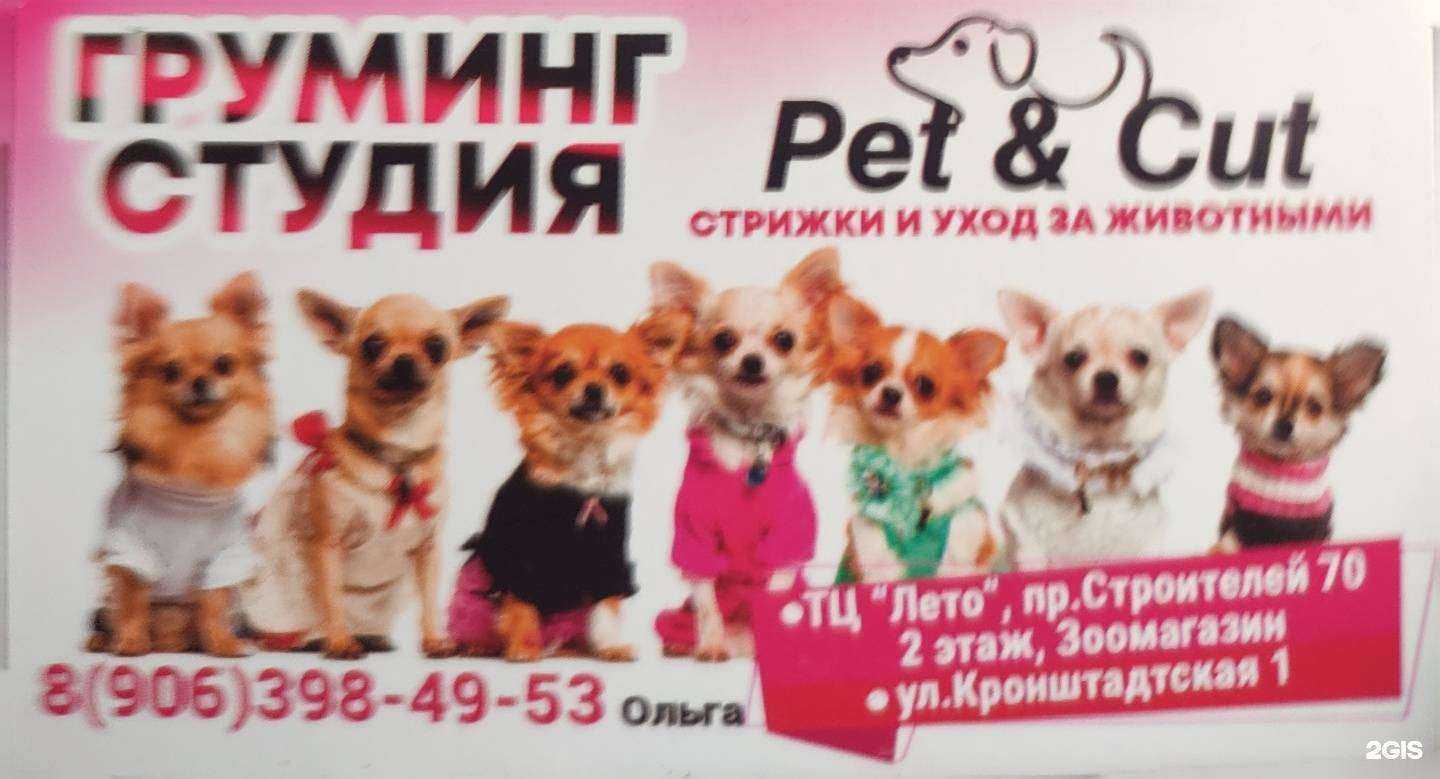 Отзывы на компанию Pet and cut в Пензе c фото