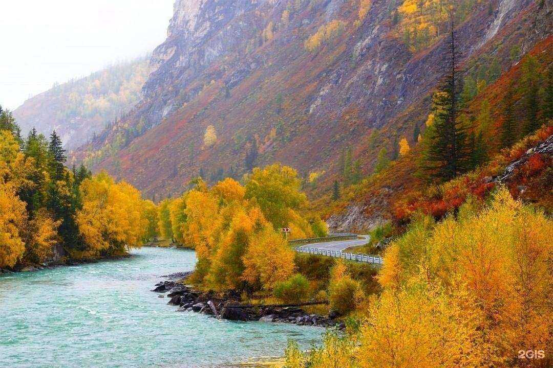 Отзывы на компанию Краски Мира в г. Новосибирск c фото