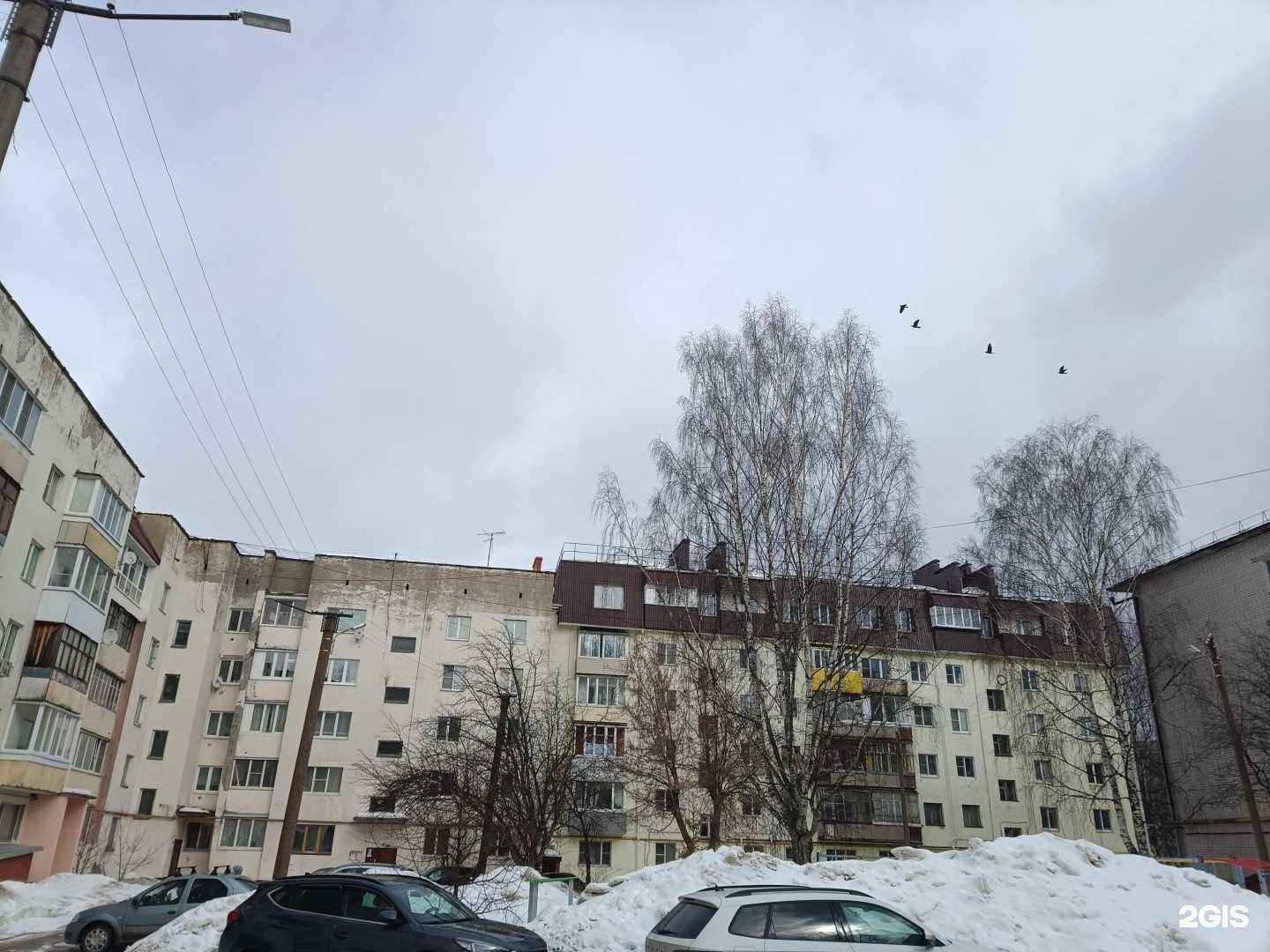 Отзывы на компанию Элавий в Йошкар-Оле c фото - фотография 2 из 2