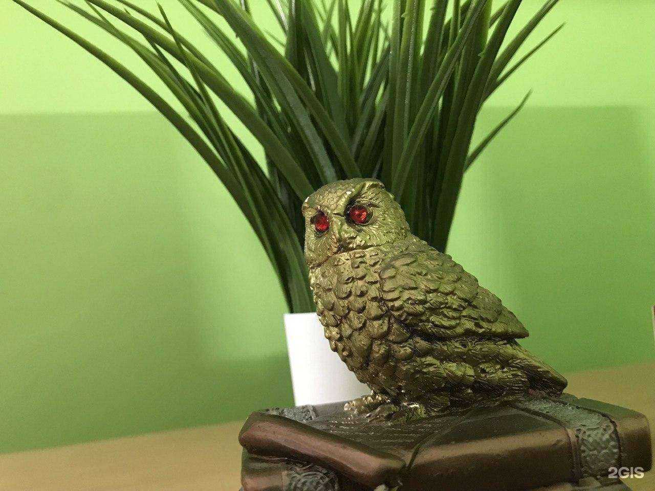 Отзывы на компанию PSK-центр в г. Новошахтинск c фото