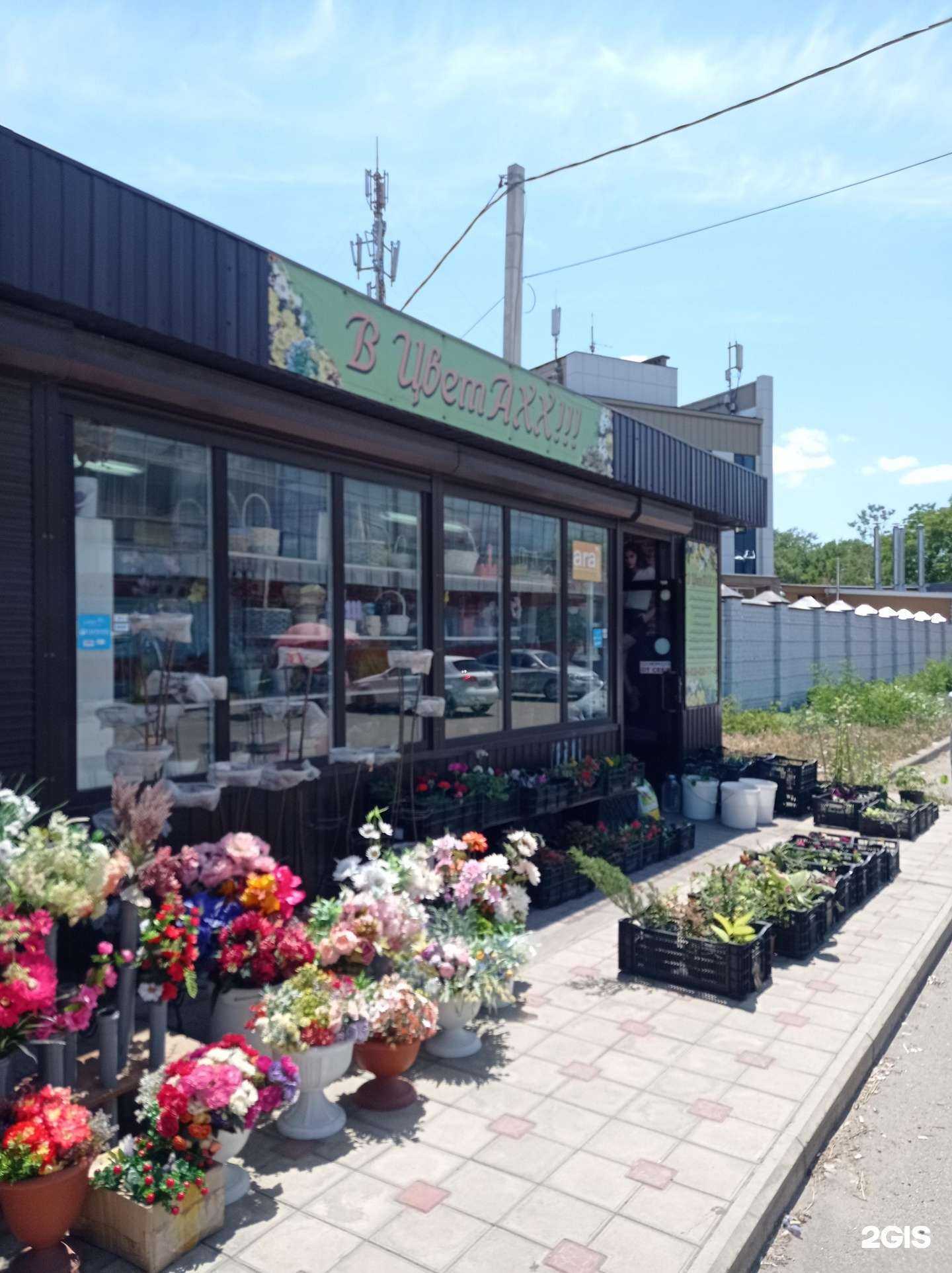 Отзывы на компанию В цветахх в Невинномысске c фото