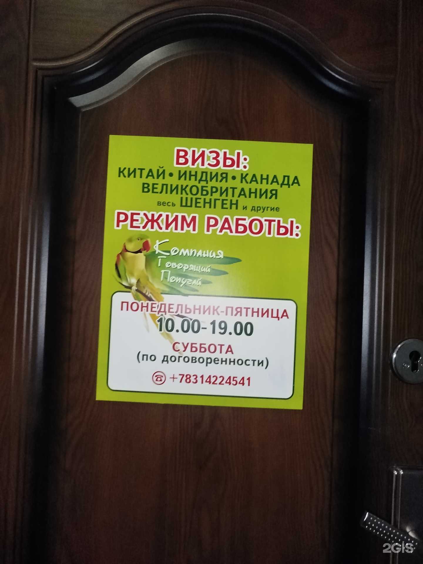 Отзывы на компанию Говорящий Попугай в г. Нижний Новгород c фото