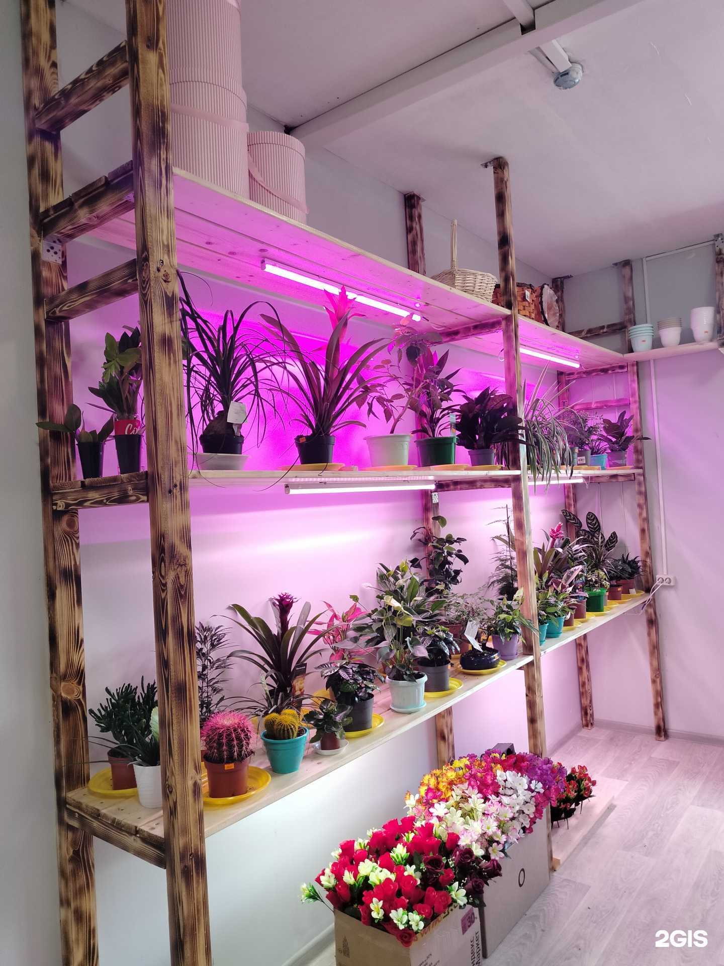 Отзывы на компанию Цветочный магазин в г. Дмитров c фото