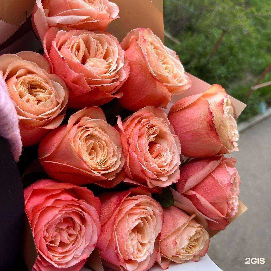 Отзывы на компанию Камелия в Астрахани c фото