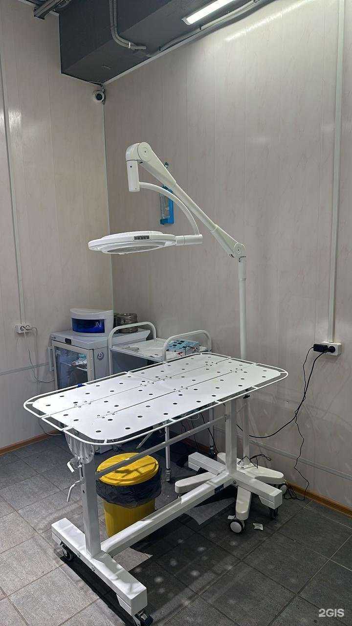 Отзывы на компанию Зоомагазоо в г. Иркутск c фото