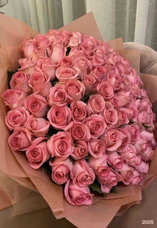 Отзывы на компанию Leto в Иркутске c фото