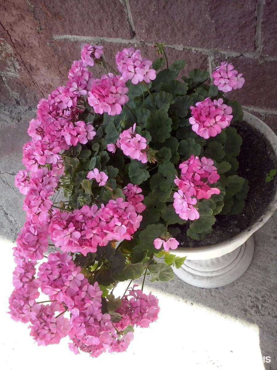 Отзывы на компанию ЭТМ в Омске c фото - фотография 2 из 2