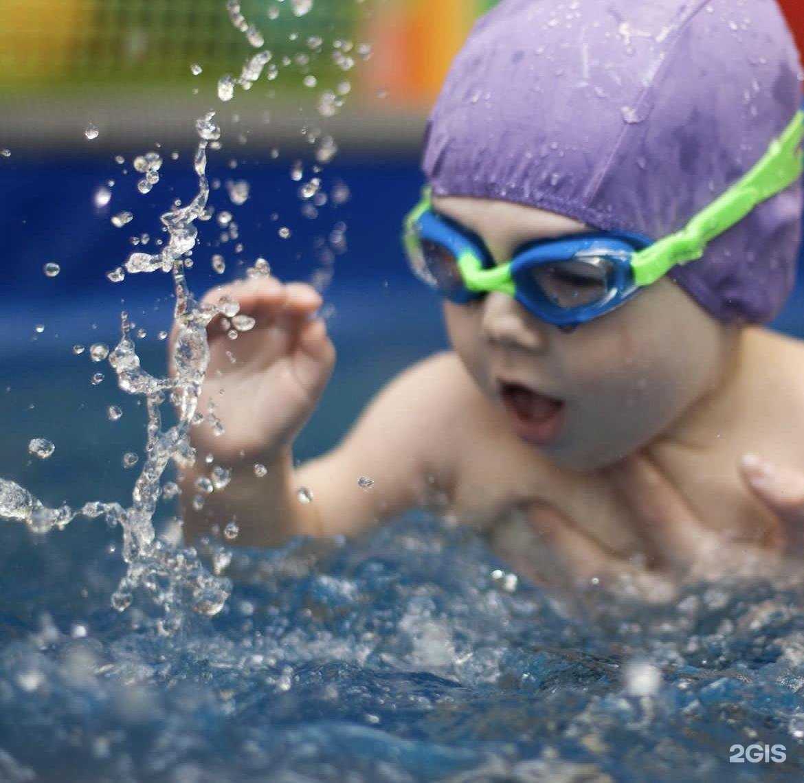 Отзывы на компанию Дельфин-непоседа в Чите c фото
