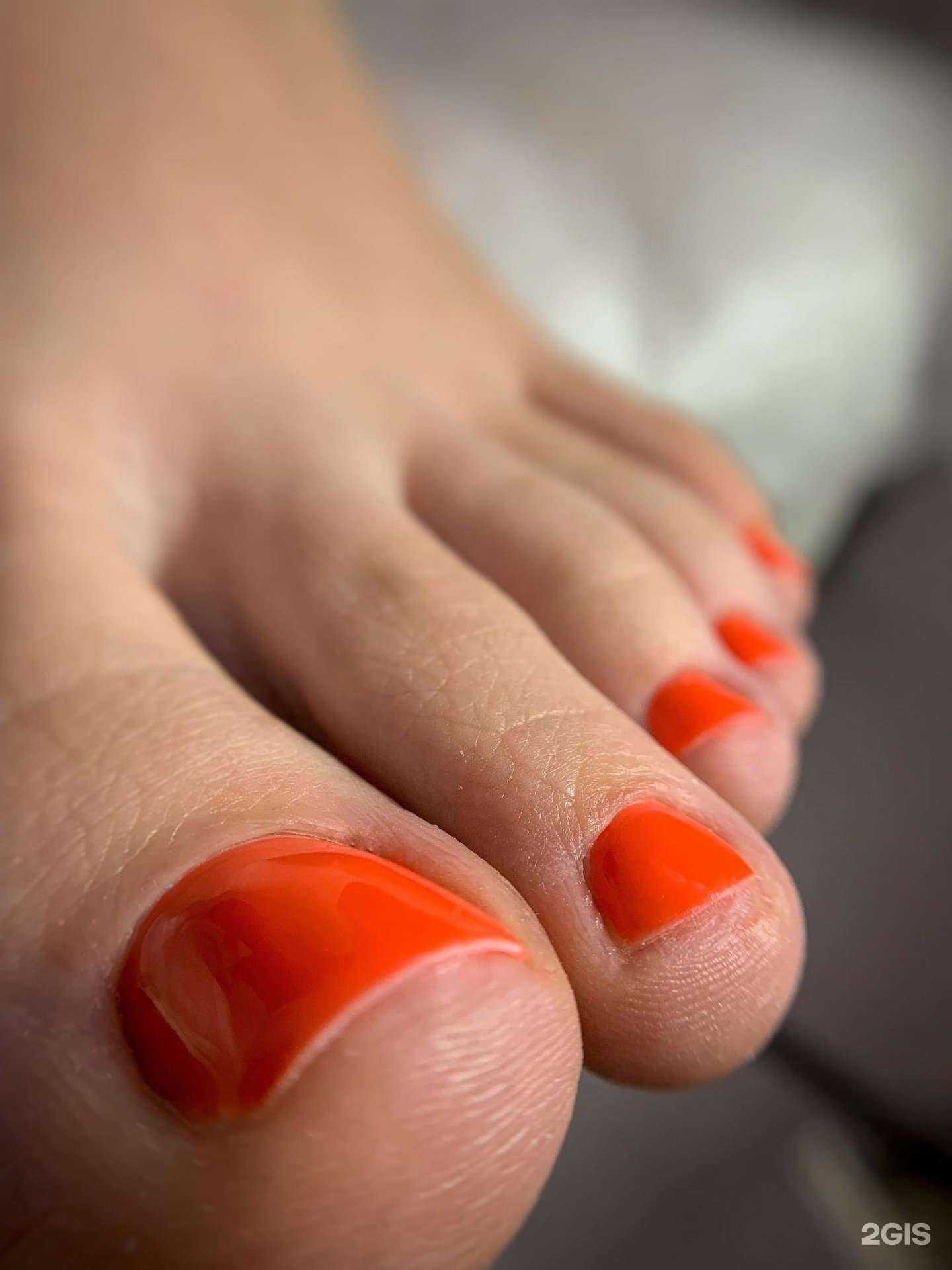 Отзывы на компанию Панда house в Барнауле c фото